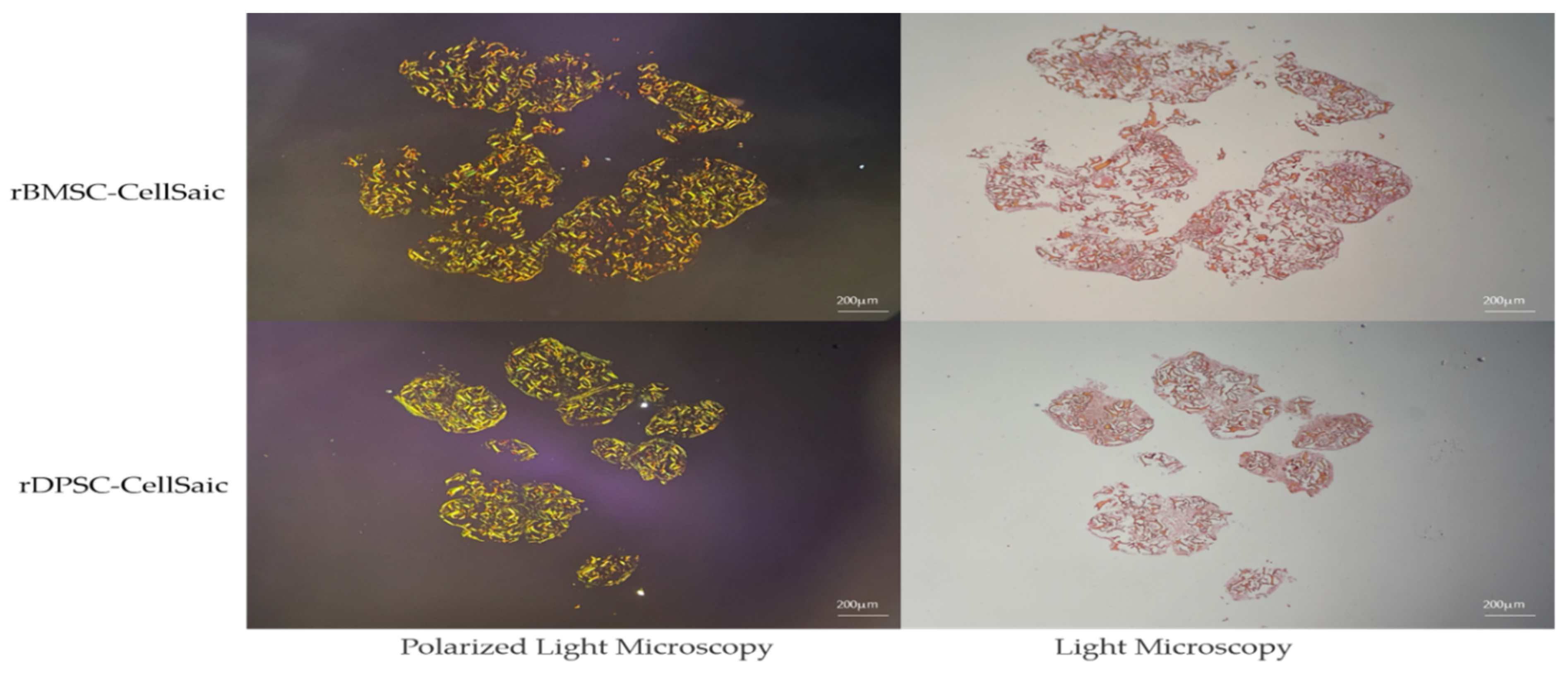 Ijms 22 09478 g006 550