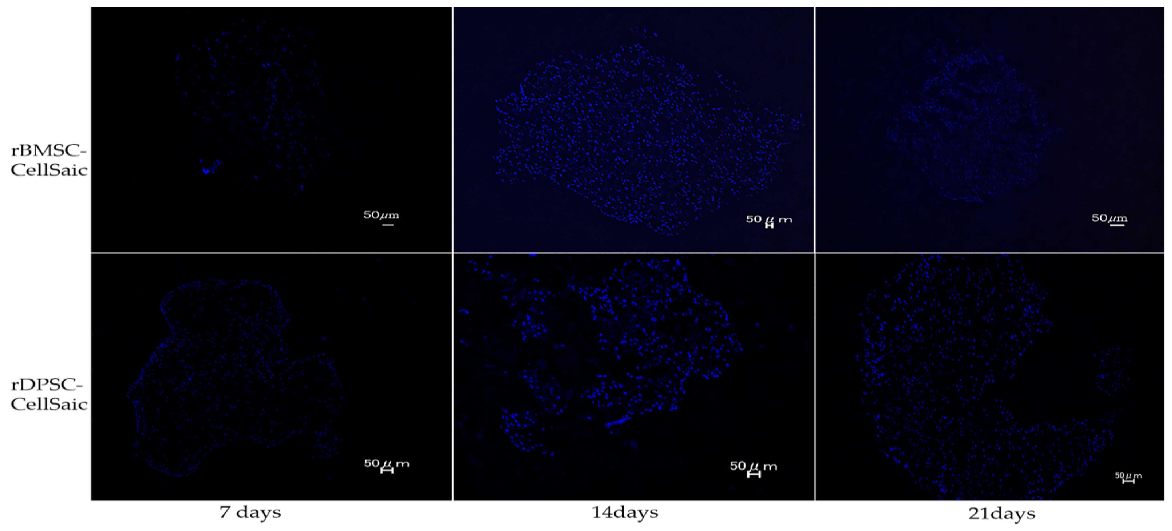 Ijms 22 09478 g007 550