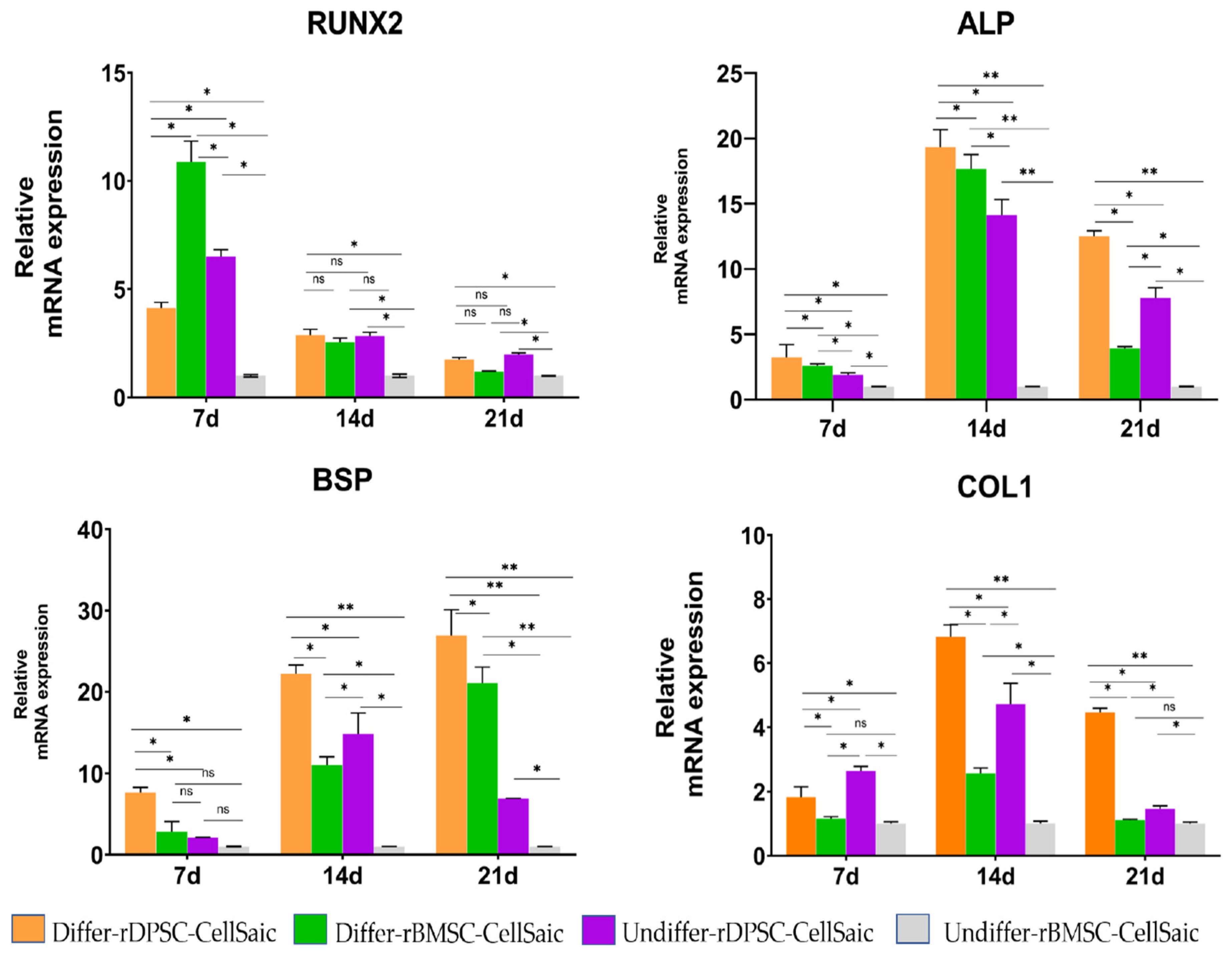Ijms 22 09478 g009 550