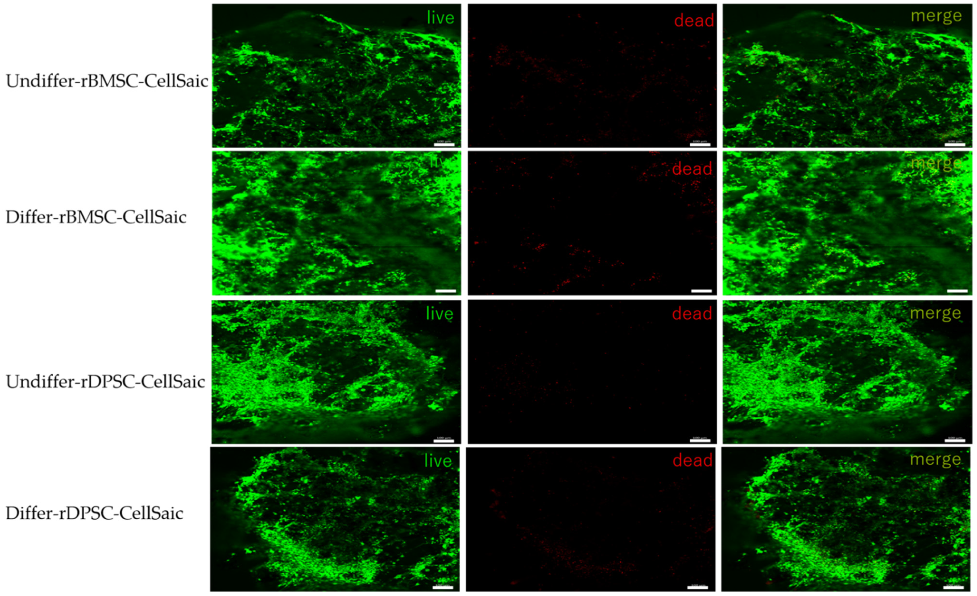 Ijms 22 09478 g010 550