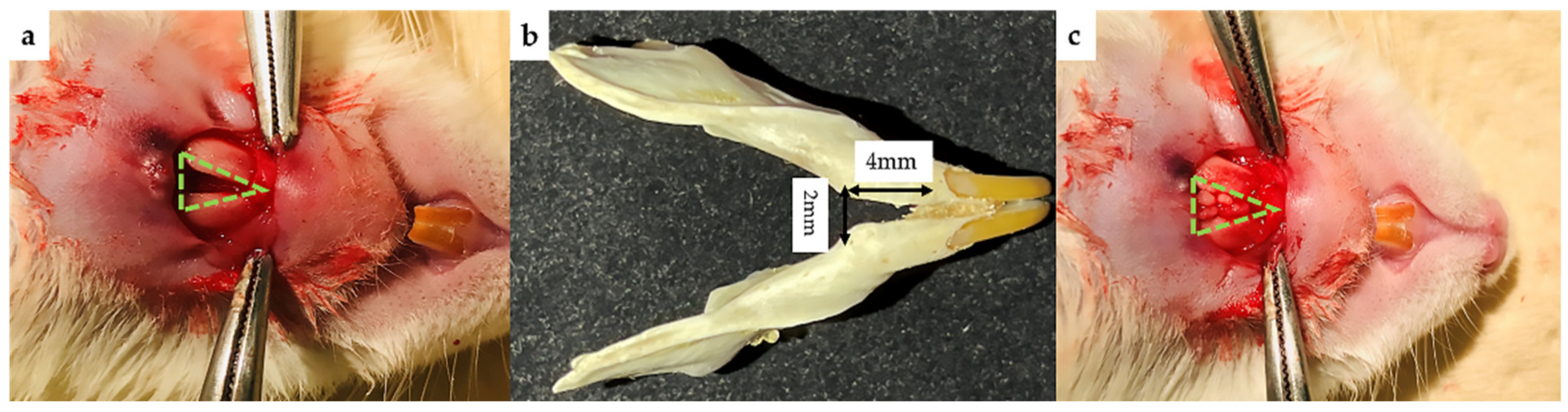 Ijms 22 09478 g013 550