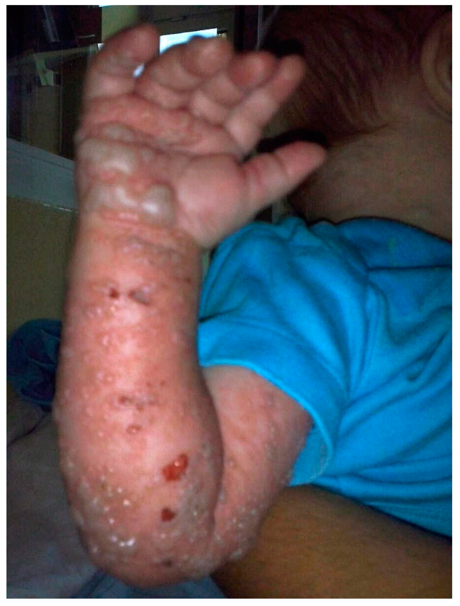 Ijms 22 09479 g001 Ijms 22 09479 g001