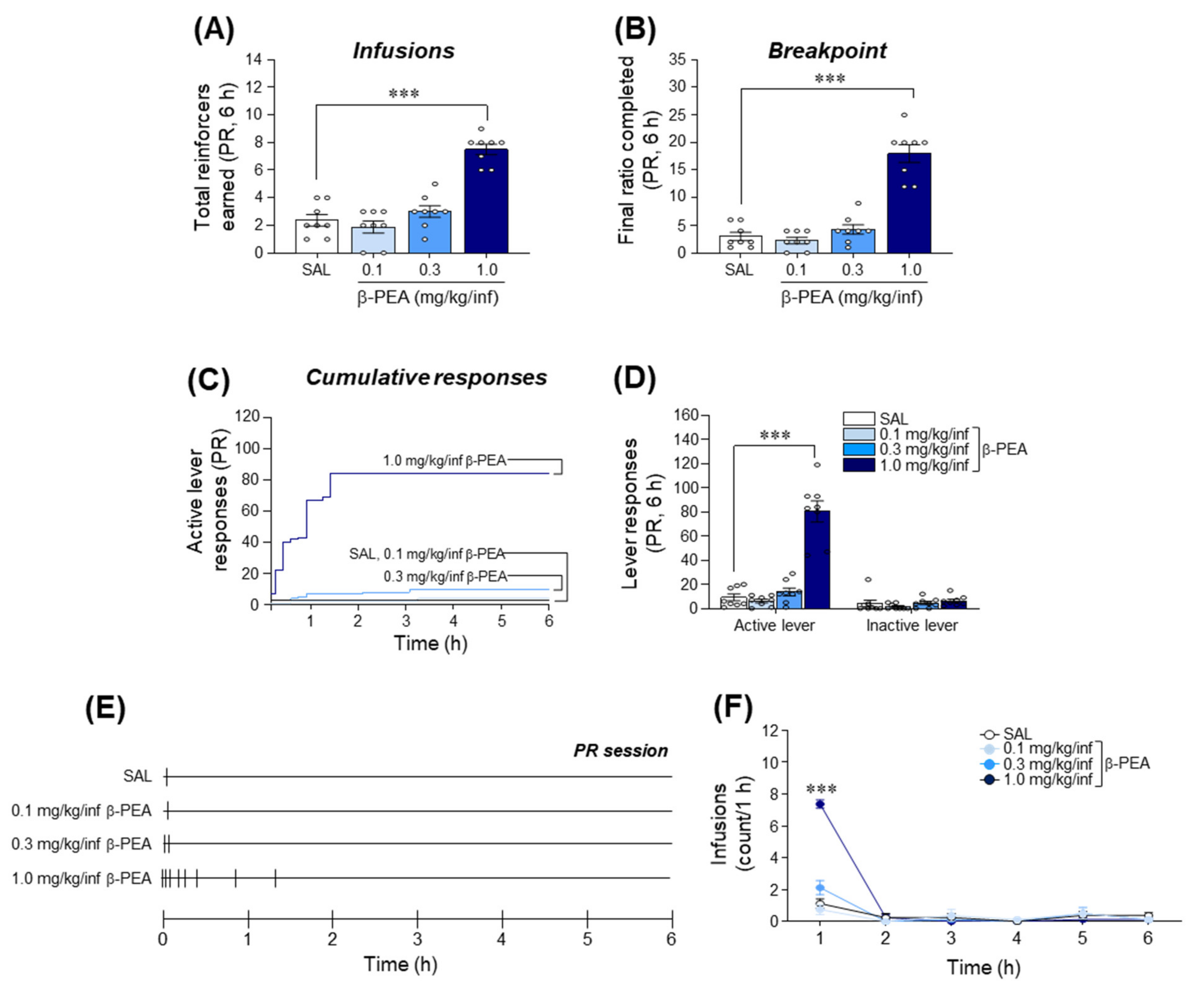 Ijms 22 09485 g005 Ijms 22 09485 g005