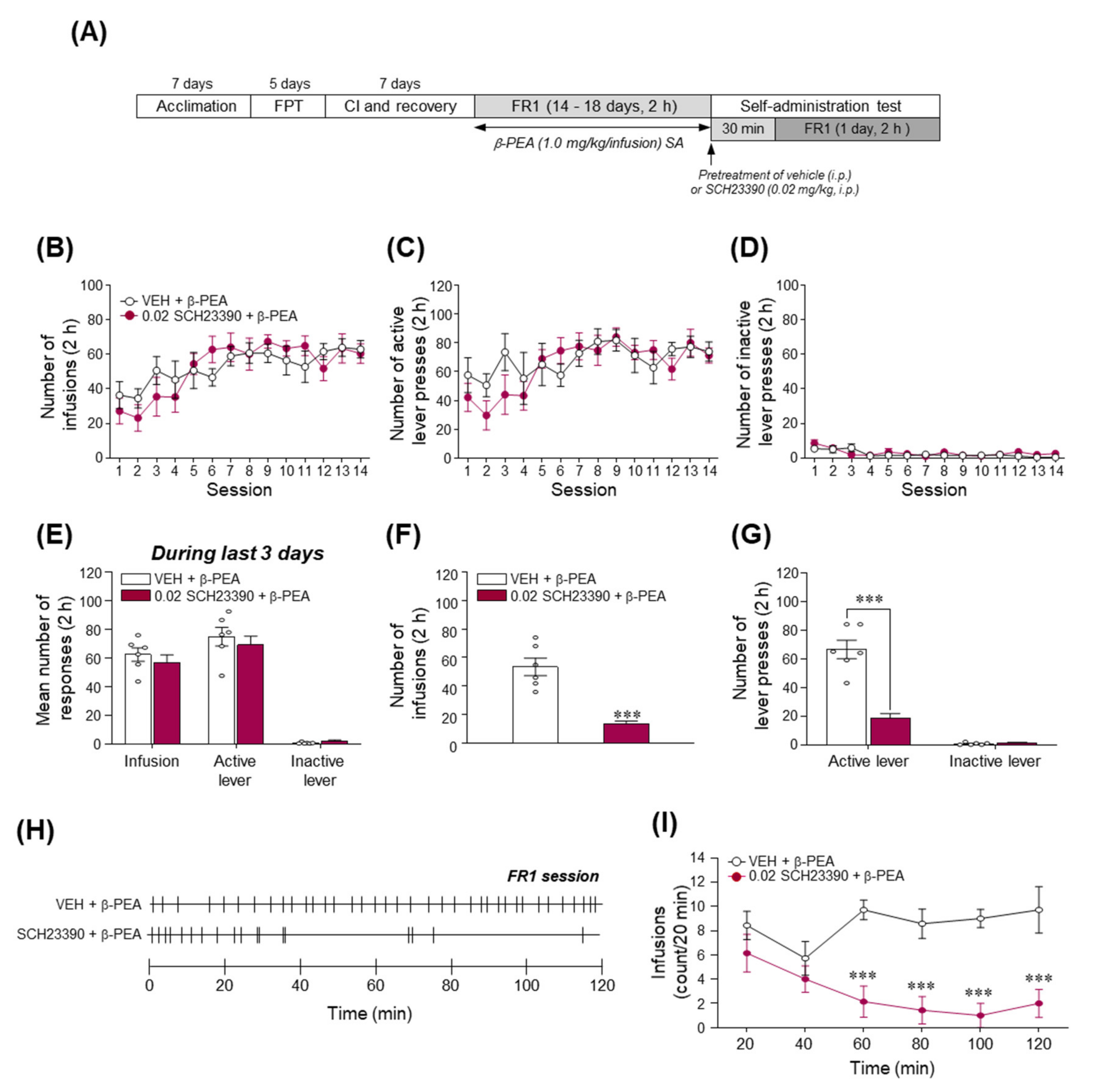 Ijms 22 09485 g008 Ijms 22 09485 g008