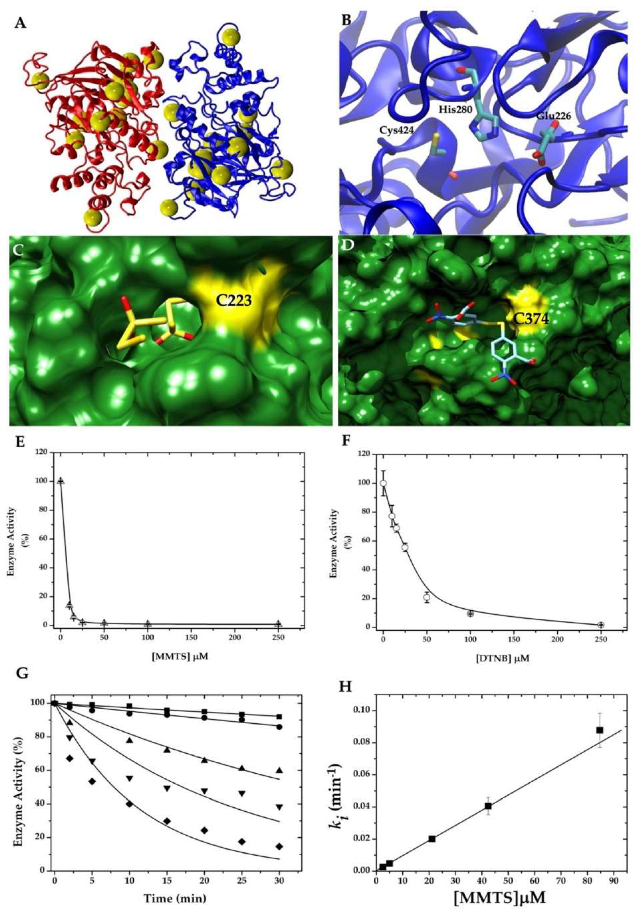 Ijms 22 09491 g001 Ijms 22 09491 g001