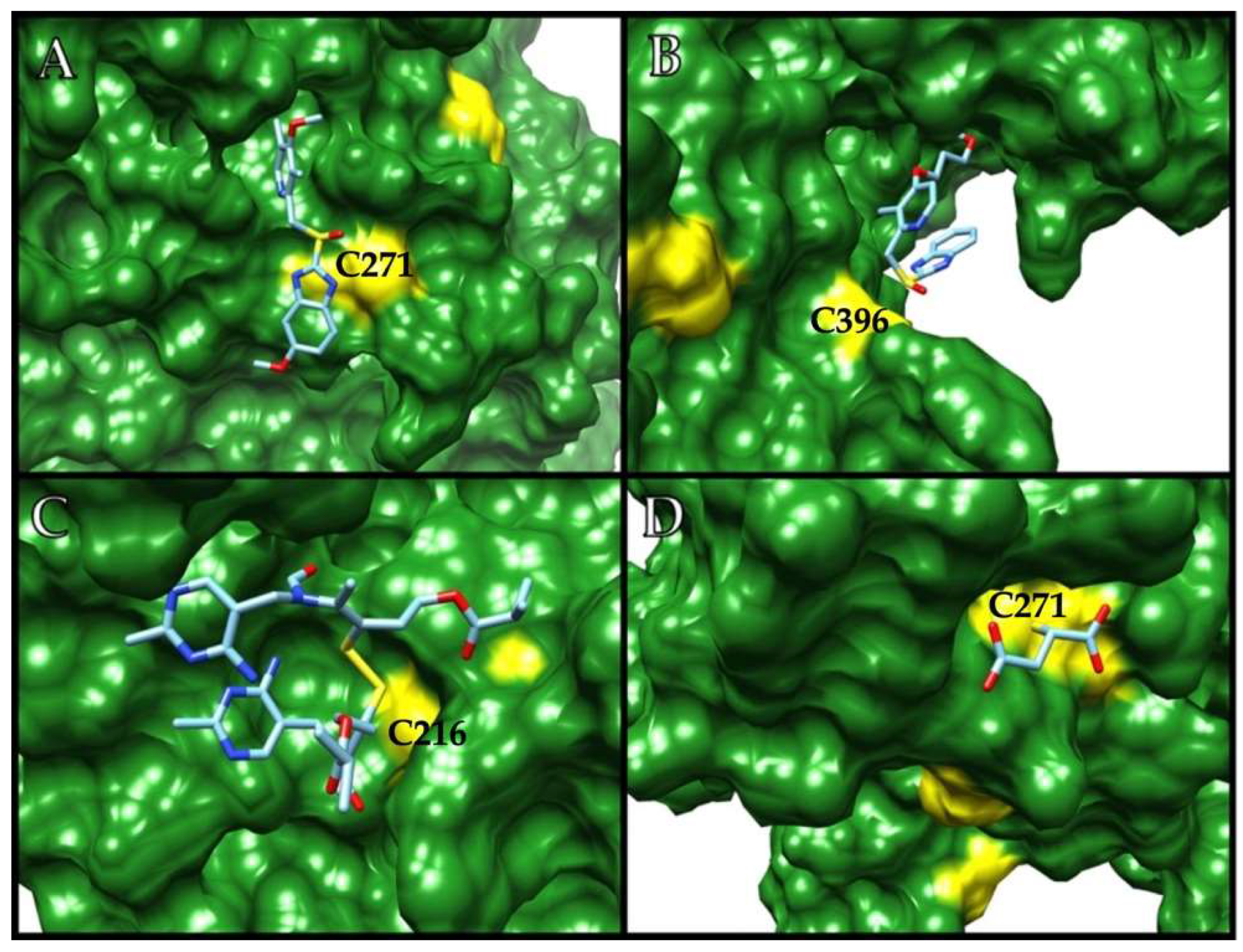 Ijms 22 09491 g002 Ijms 22 09491 g002