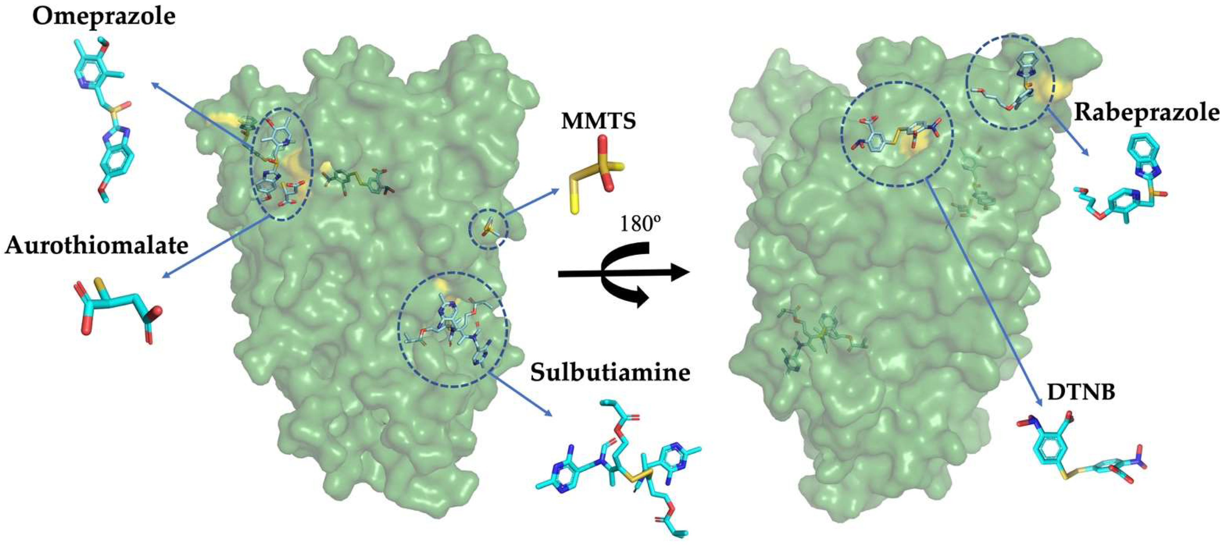 Ijms 22 09491 g003 Ijms 22 09491 g003