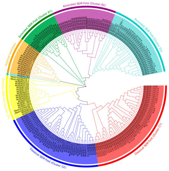 Genome-Wide Identification and Characterization of Short-Chain ...