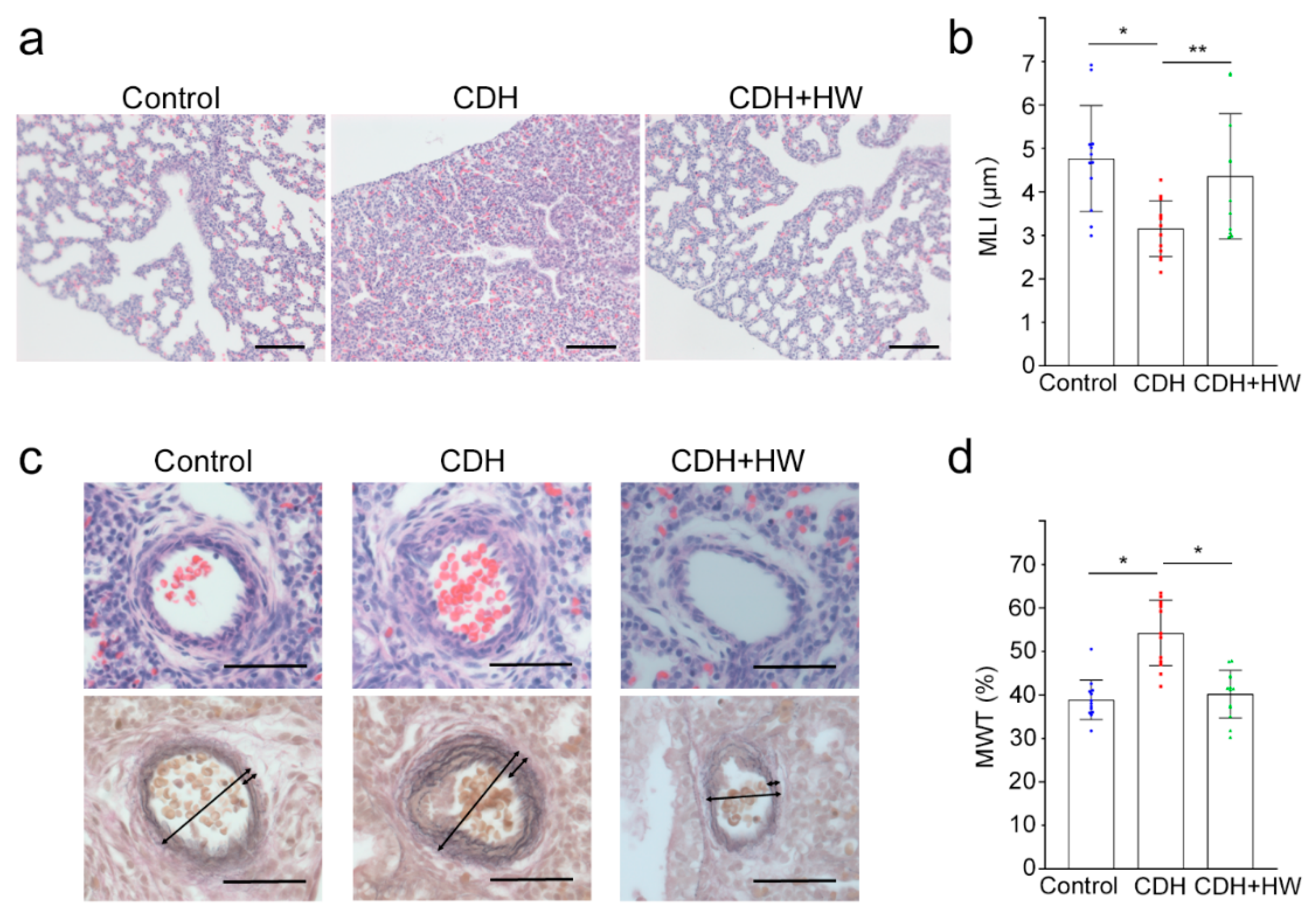 Ijms 22 09500 g002 550