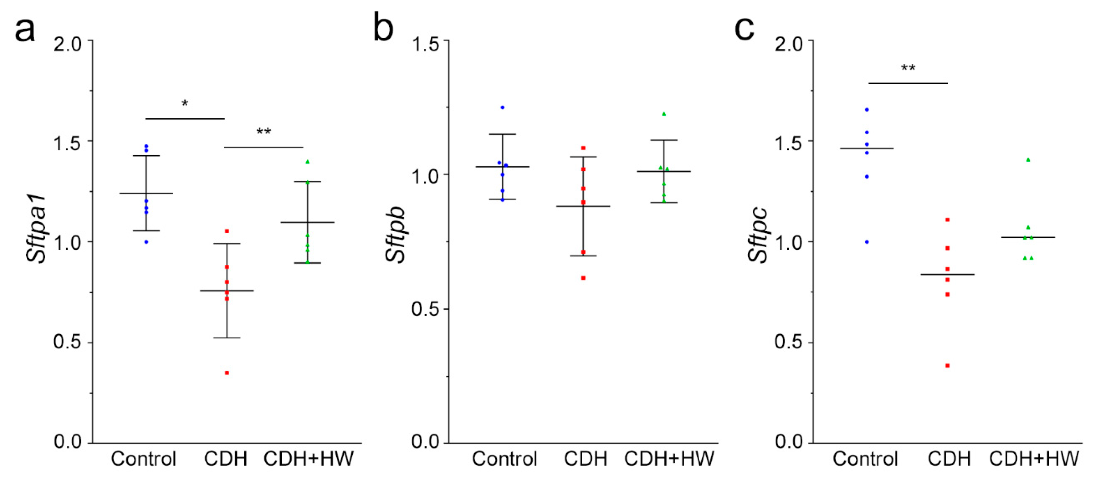 Ijms 22 09500 g005 550