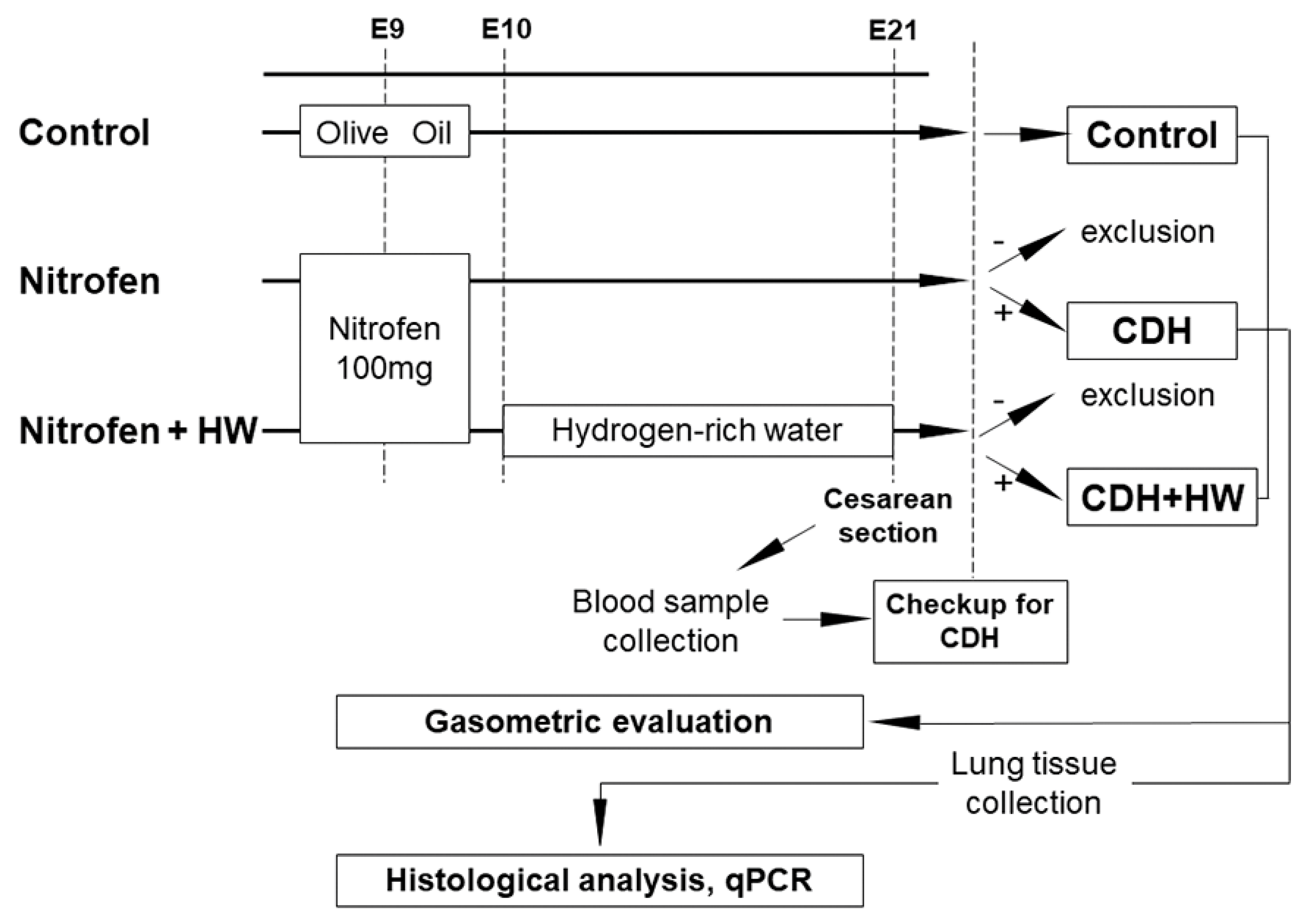 Ijms 22 09500 g006 550