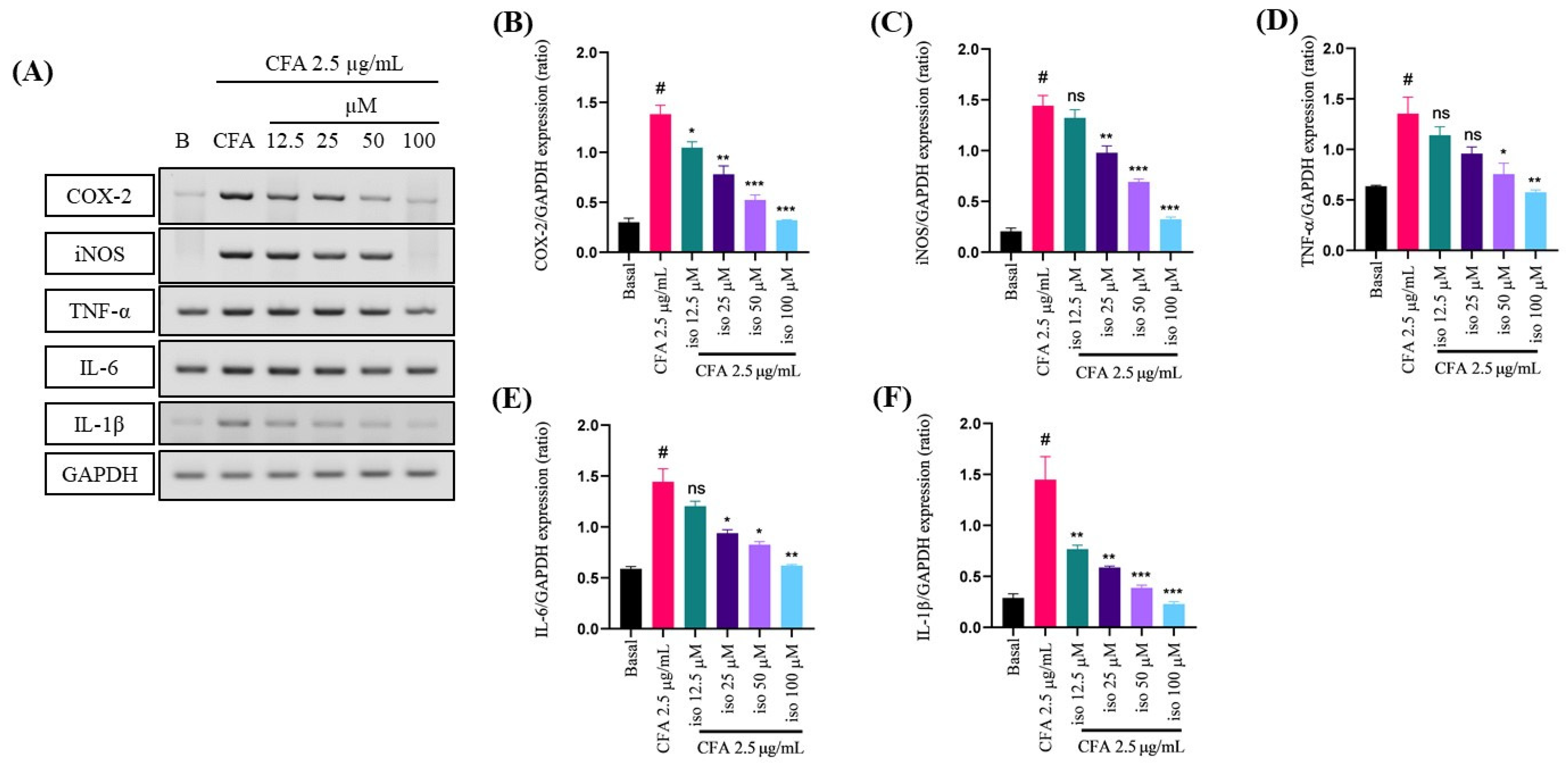 Ijms 22 09506 g002 Ijms 22 09506 g002