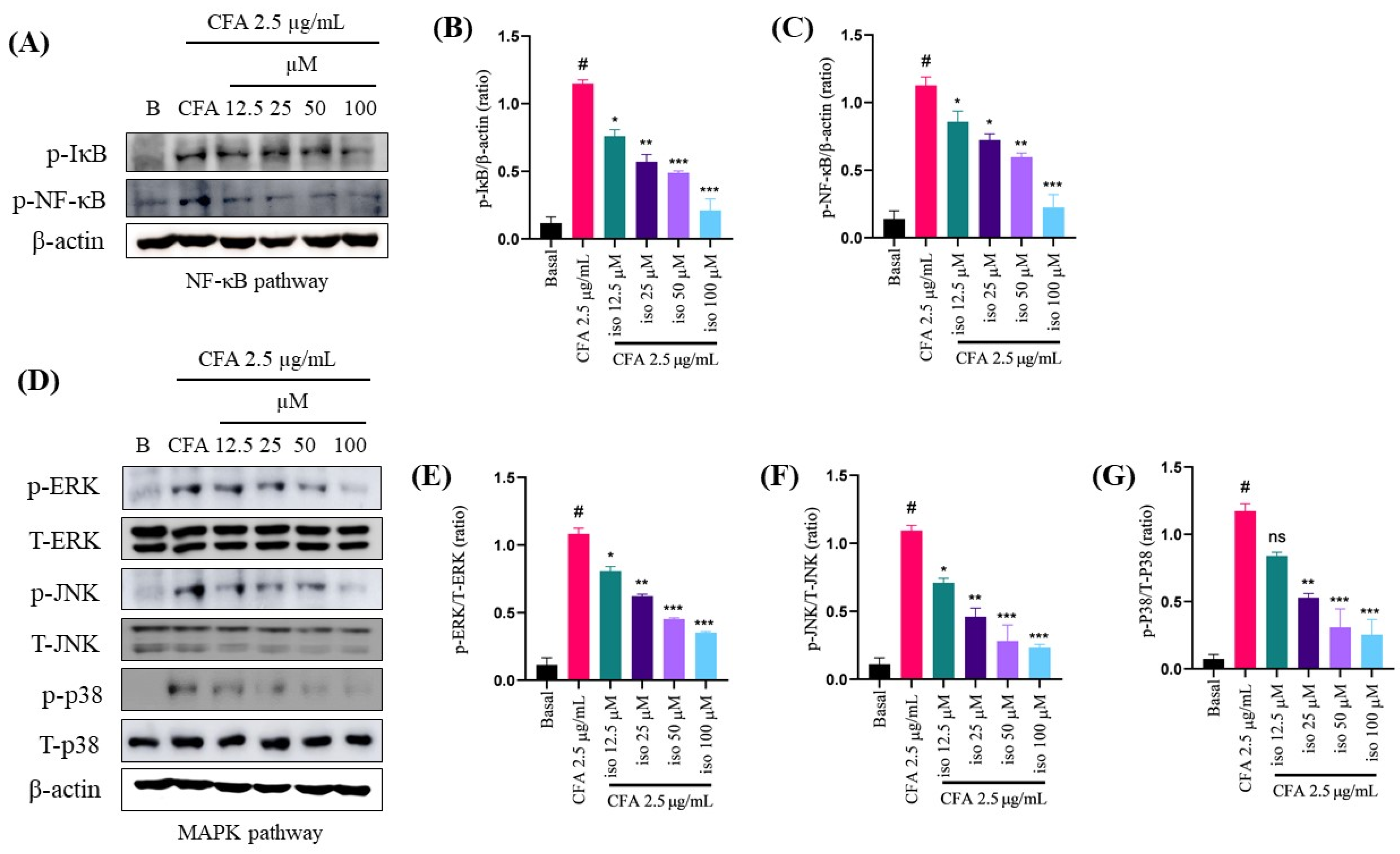 Ijms 22 09506 g005 Ijms 22 09506 g005