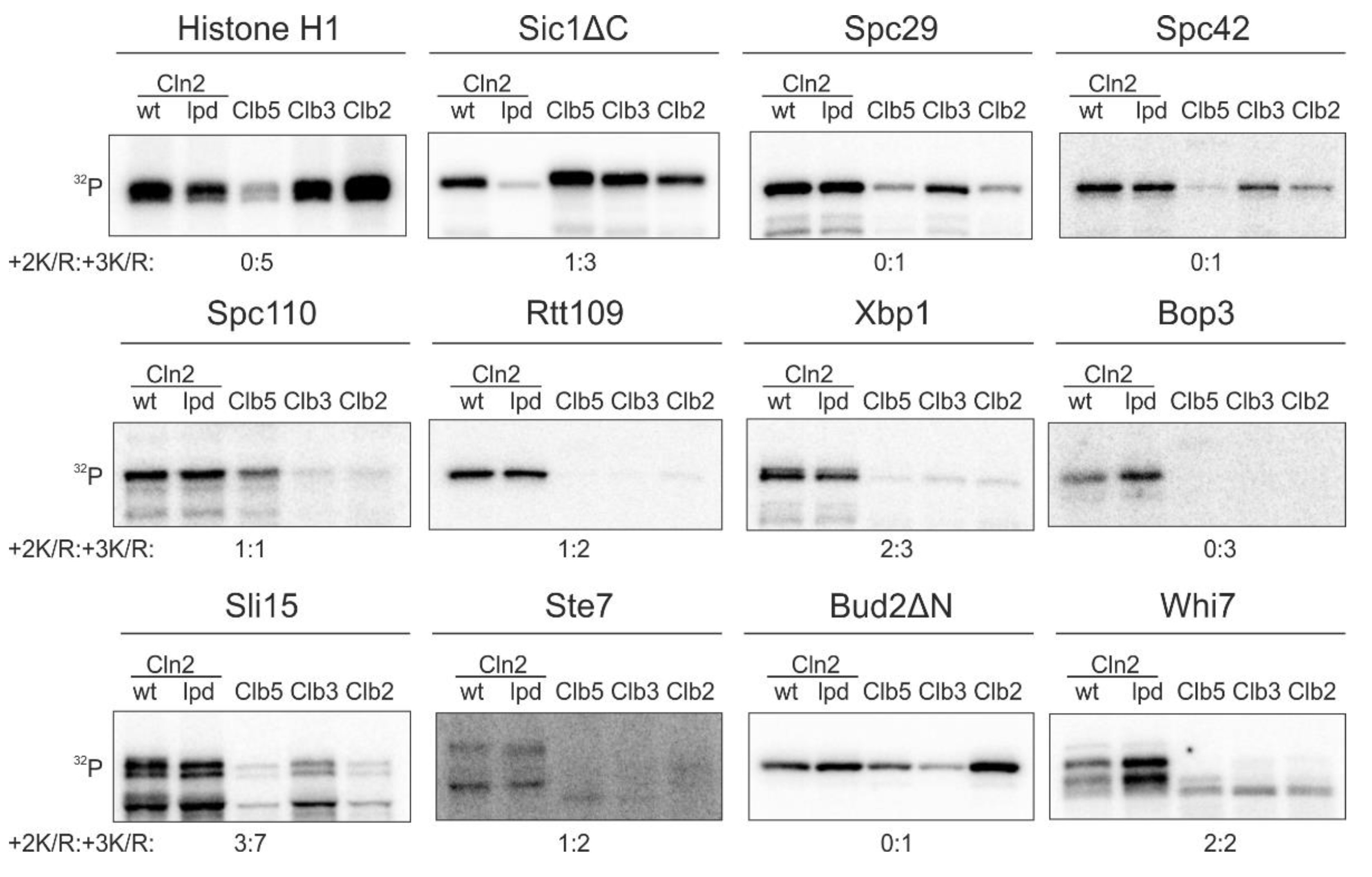 Ijms 22 09514 g001 550