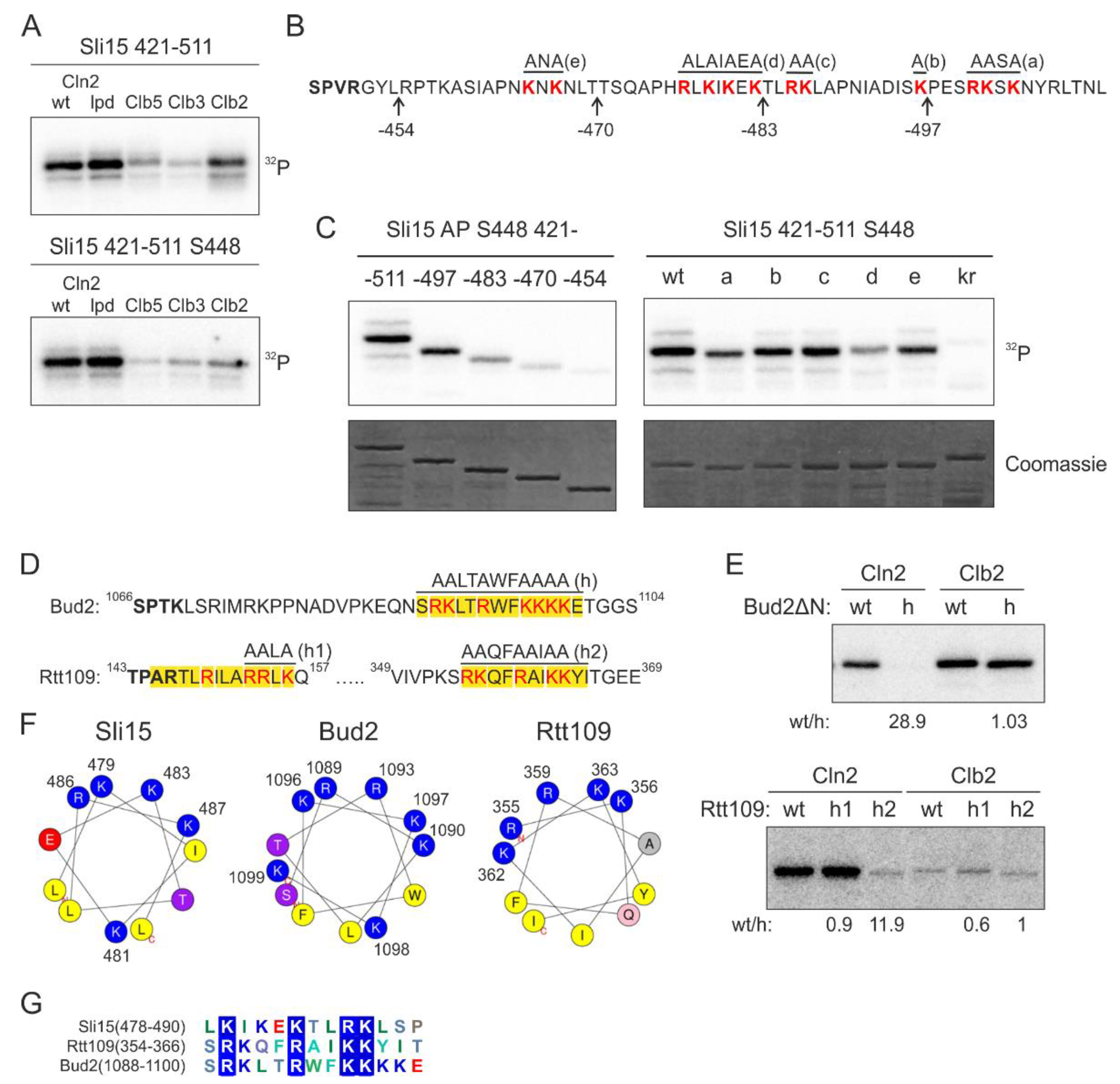 Ijms 22 09514 g002 550