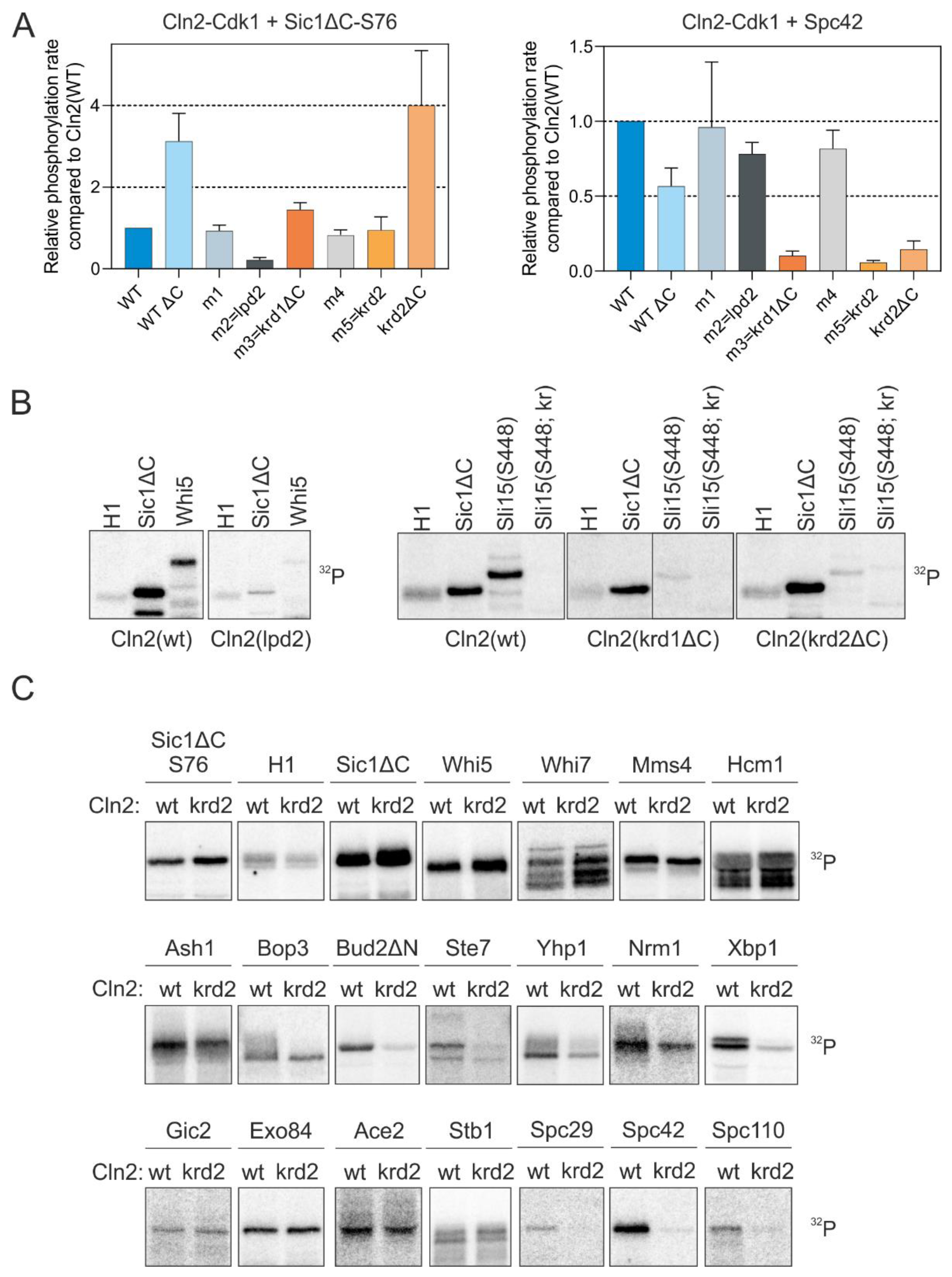 Ijms 22 09514 g003 550