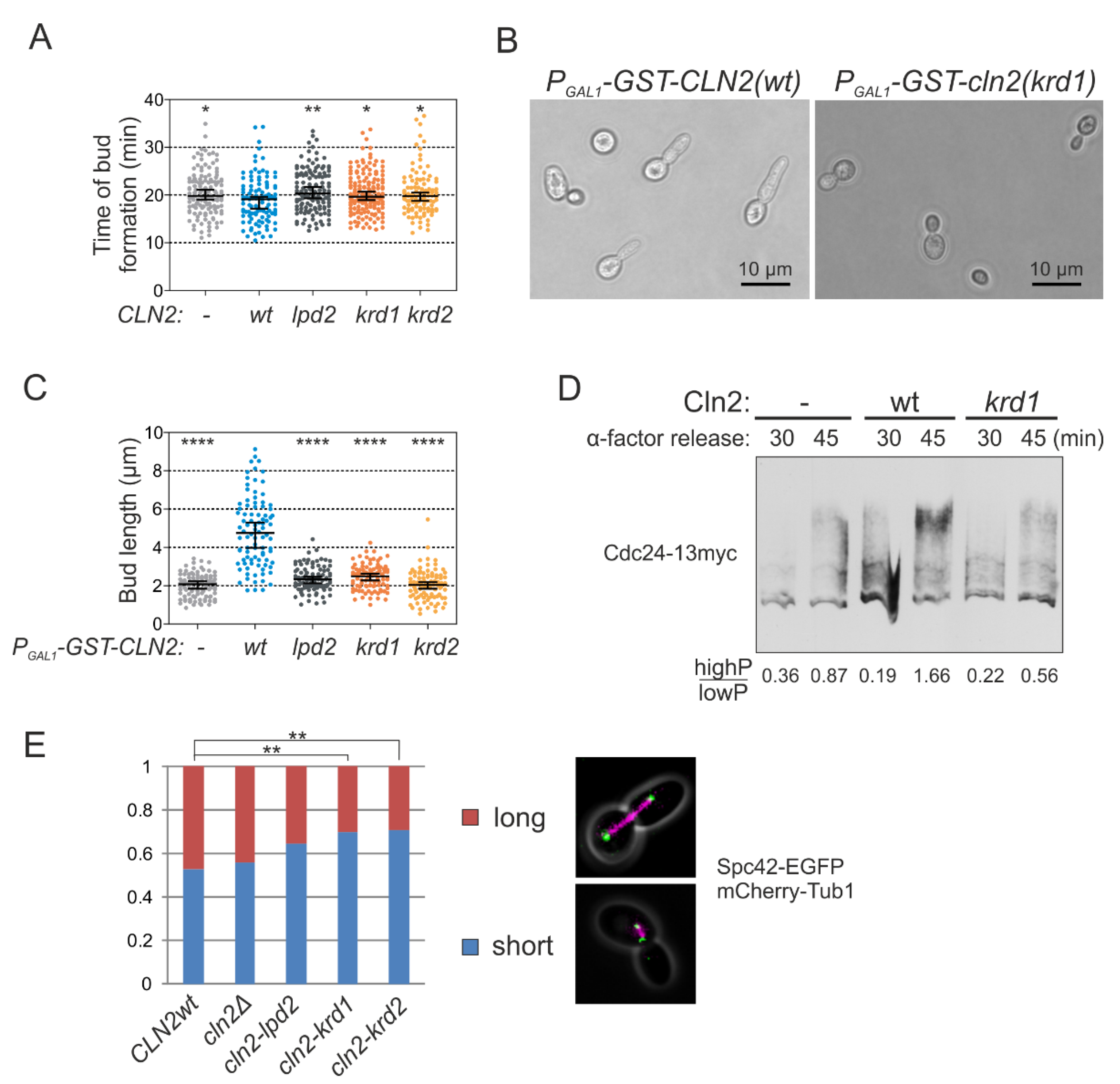 Ijms 22 09514 g004 550