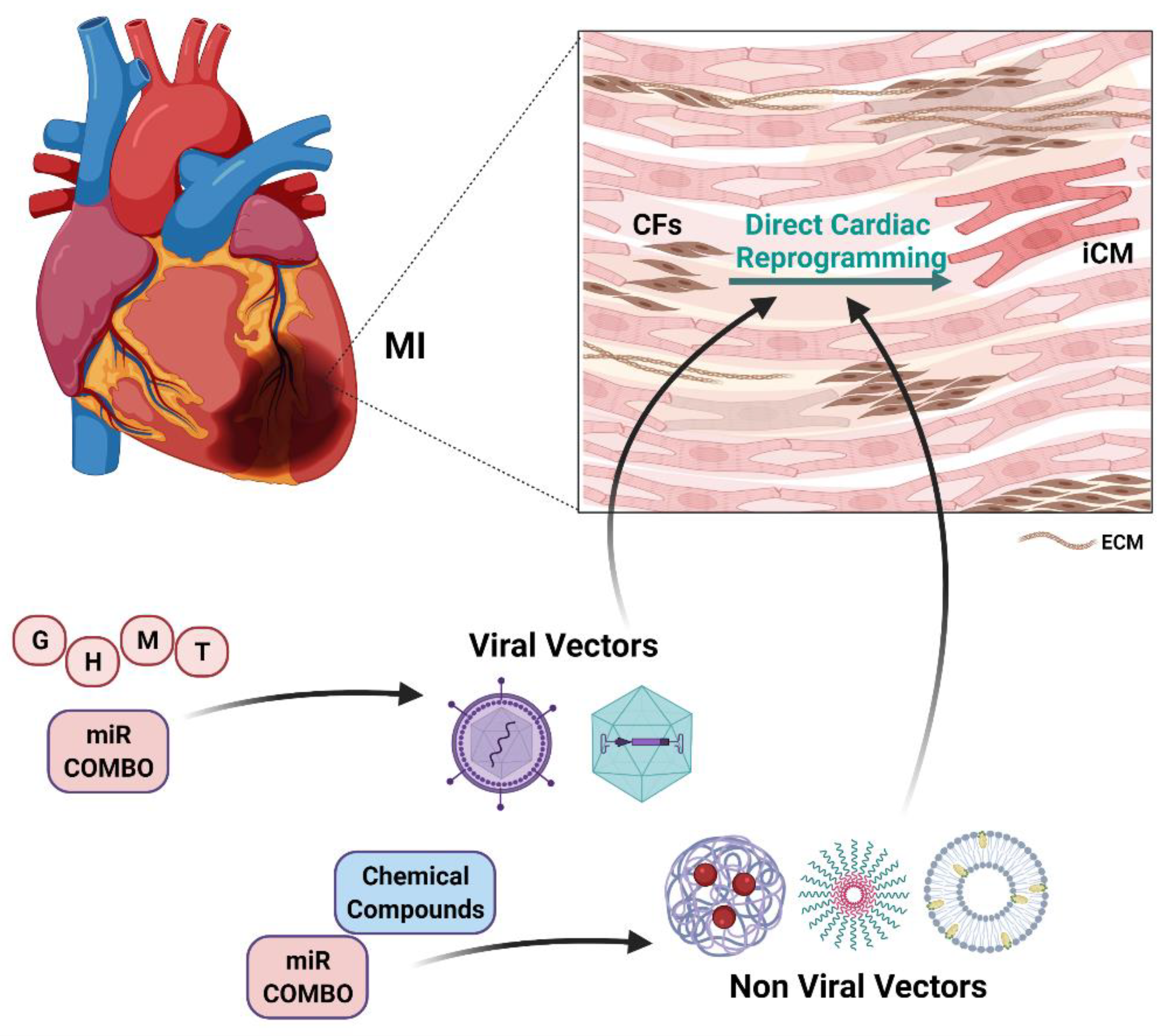 Ijms 22 09517 g003 550
