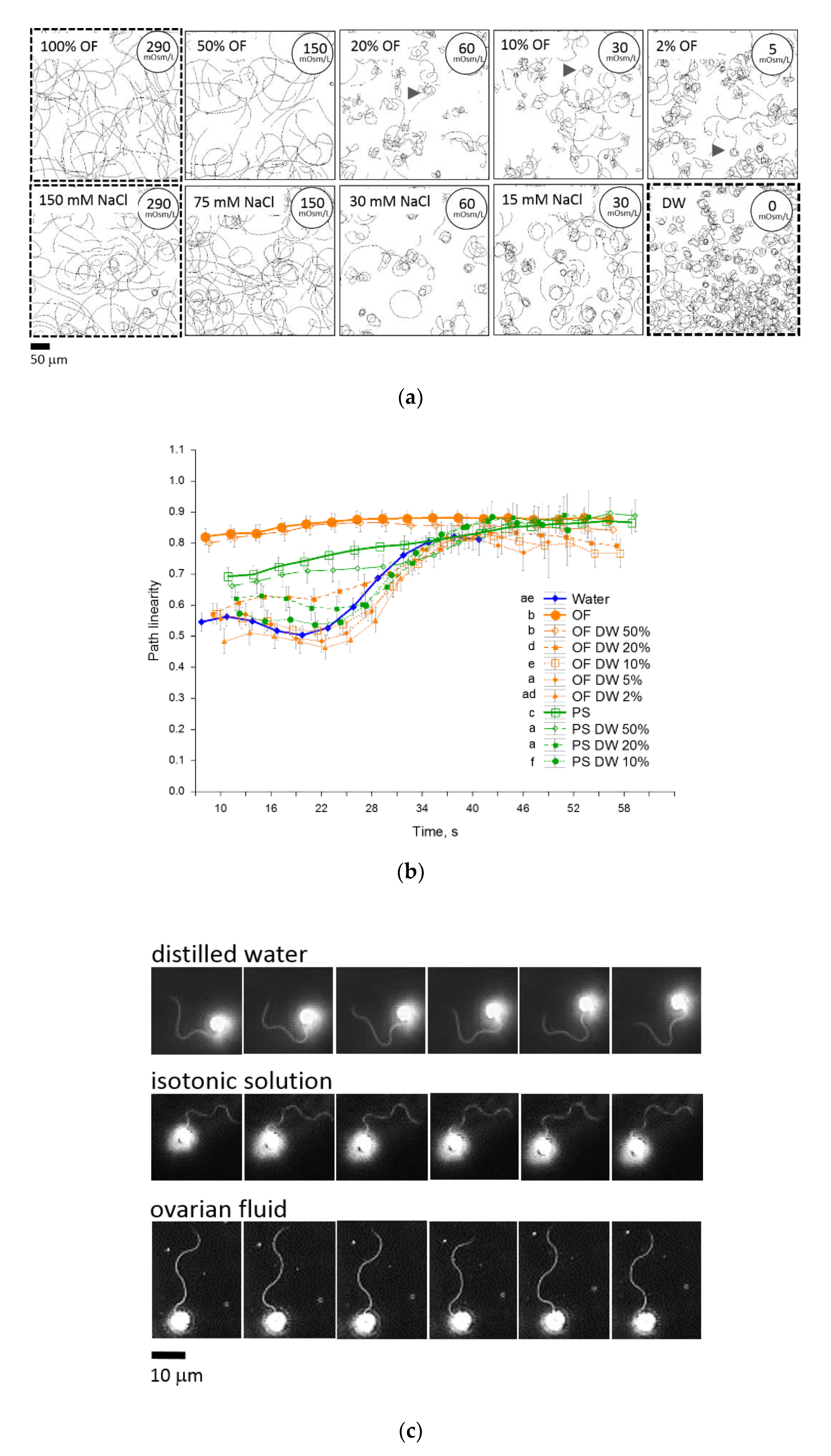 Ijms 22 09519 g003a Ijms 22 09519 g003a