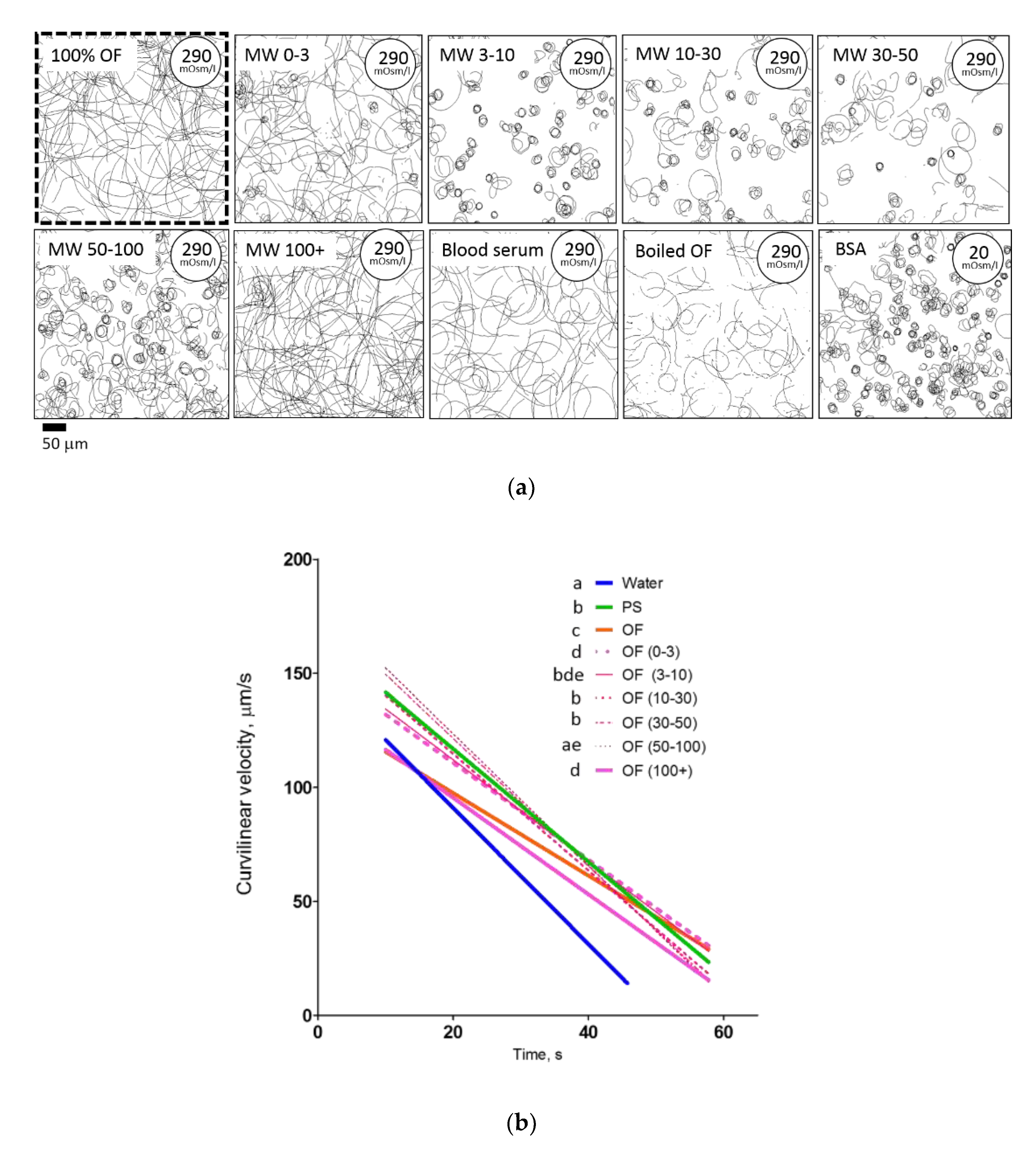 Ijms 22 09519 g005a Ijms 22 09519 g005a