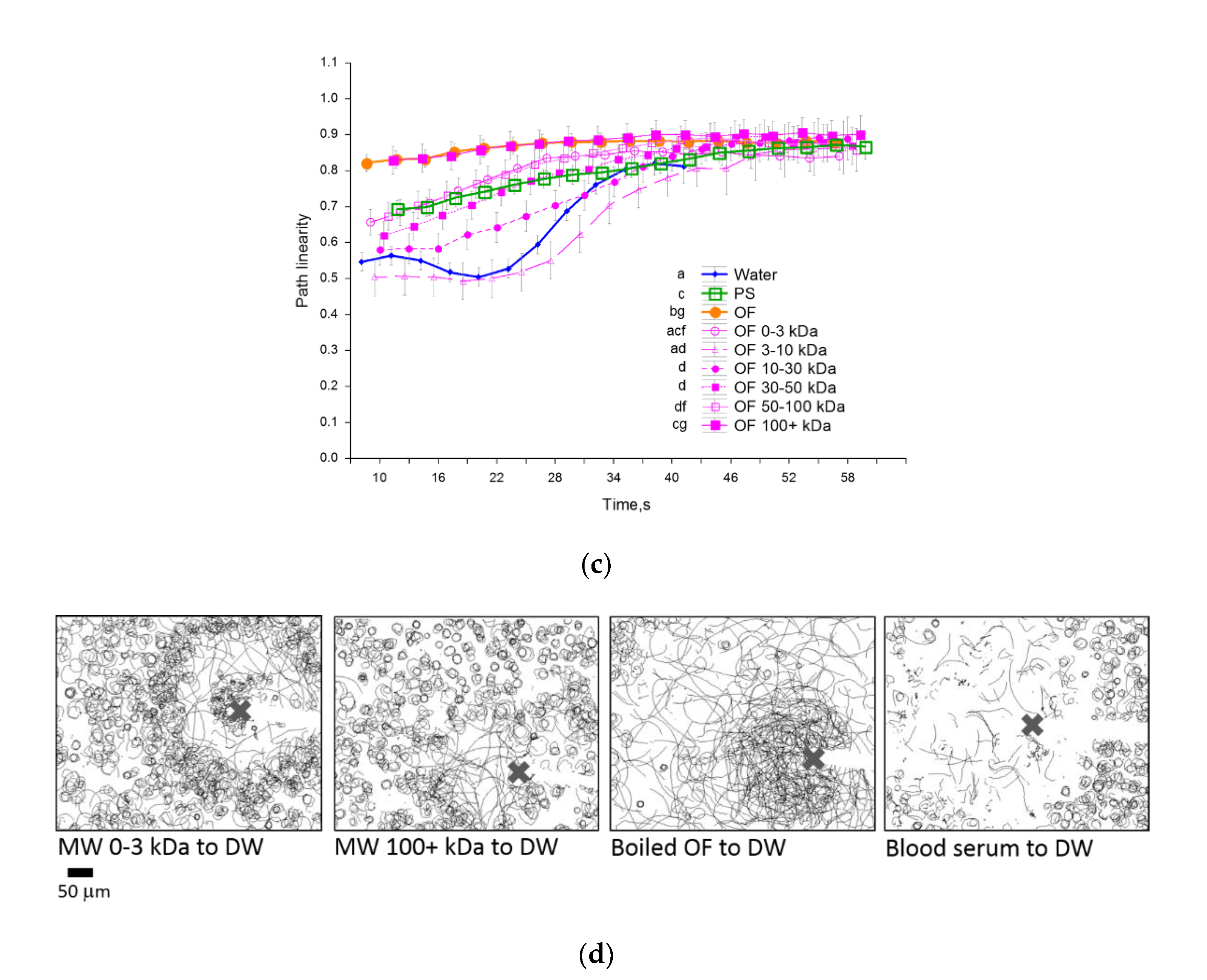 Ijms 22 09519 g005b Ijms 22 09519 g005b