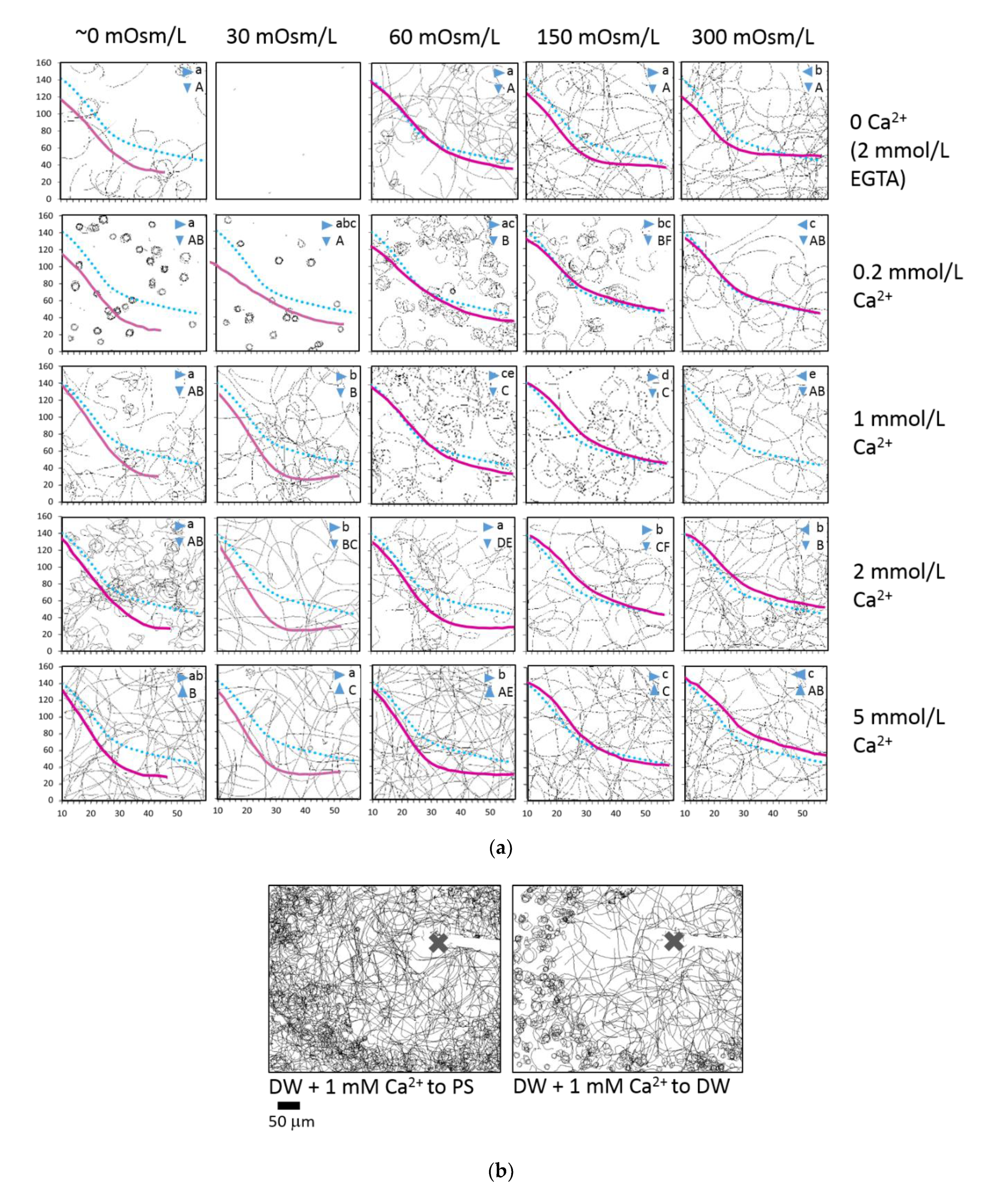 Ijms 22 09519 g006 Ijms 22 09519 g006