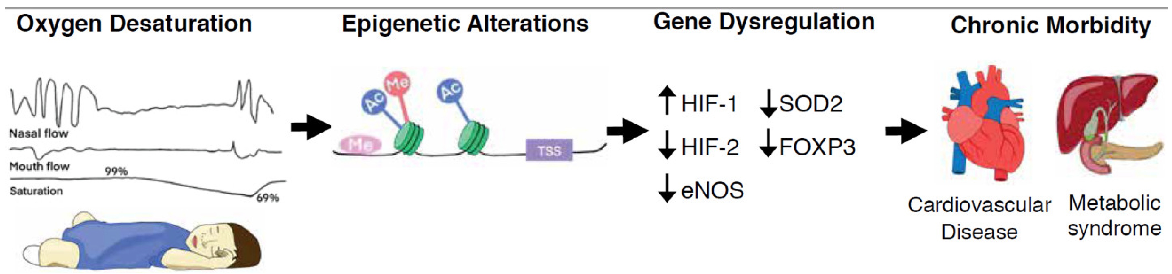 Ijms 22 09523 g001 550
