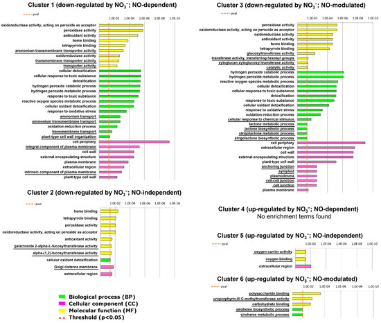 Nitrate Regulates Maize Root Transcriptome through Nitric Oxide ...