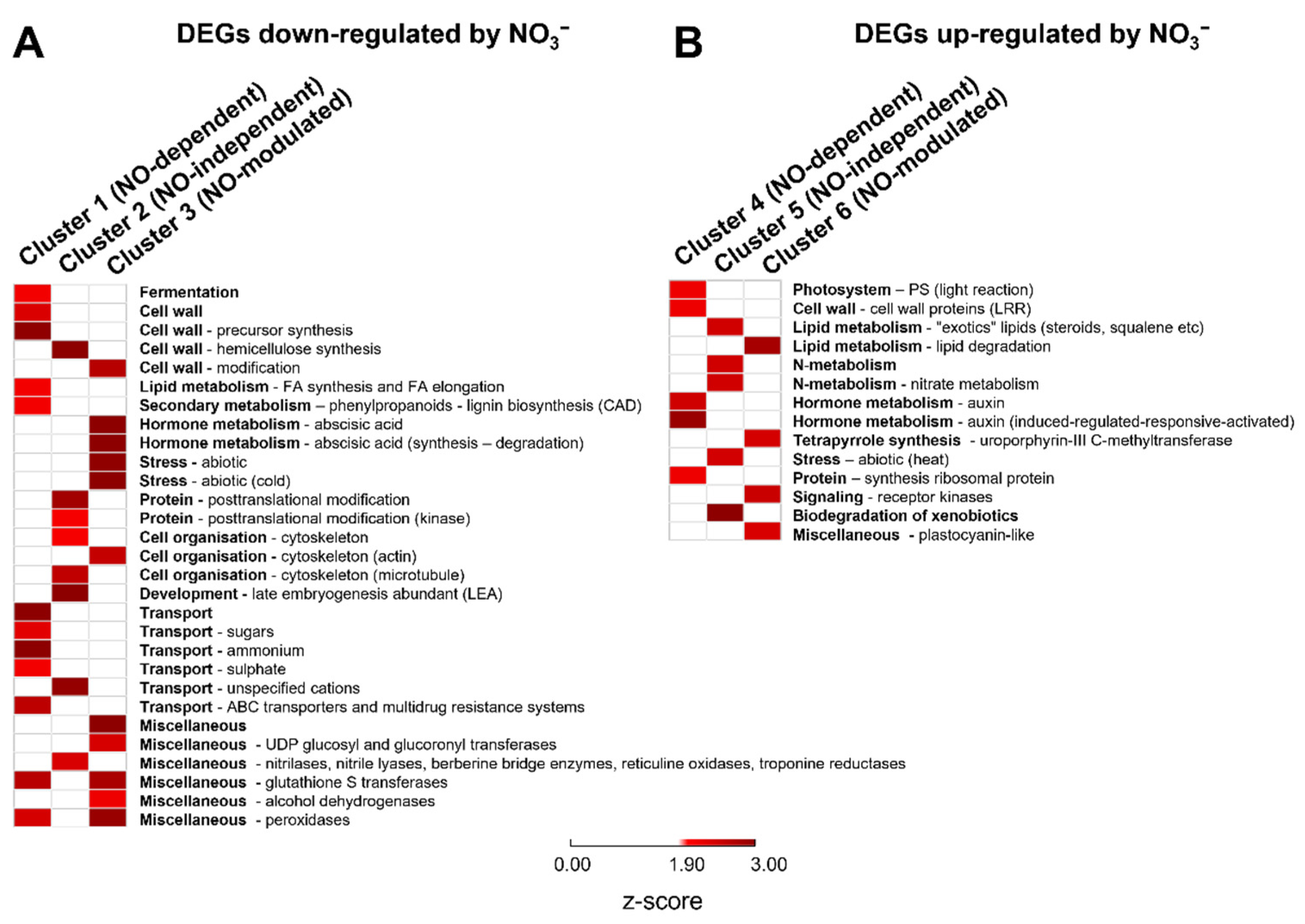Ijms 22 09527 g003 550