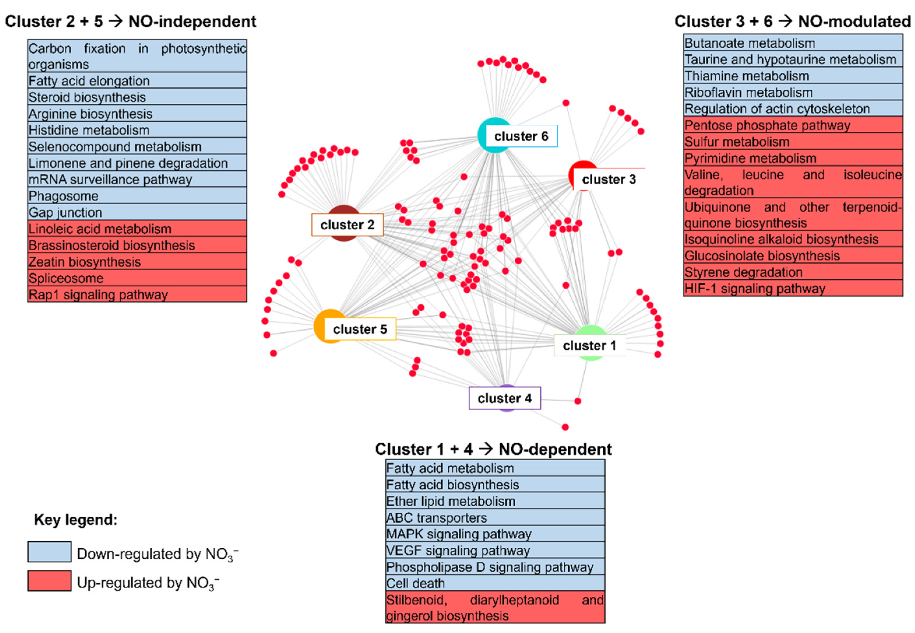 Ijms 22 09527 g004 550
