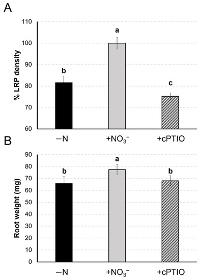Nitrate Regulates Maize Root Transcriptome through Nitric Oxide ...