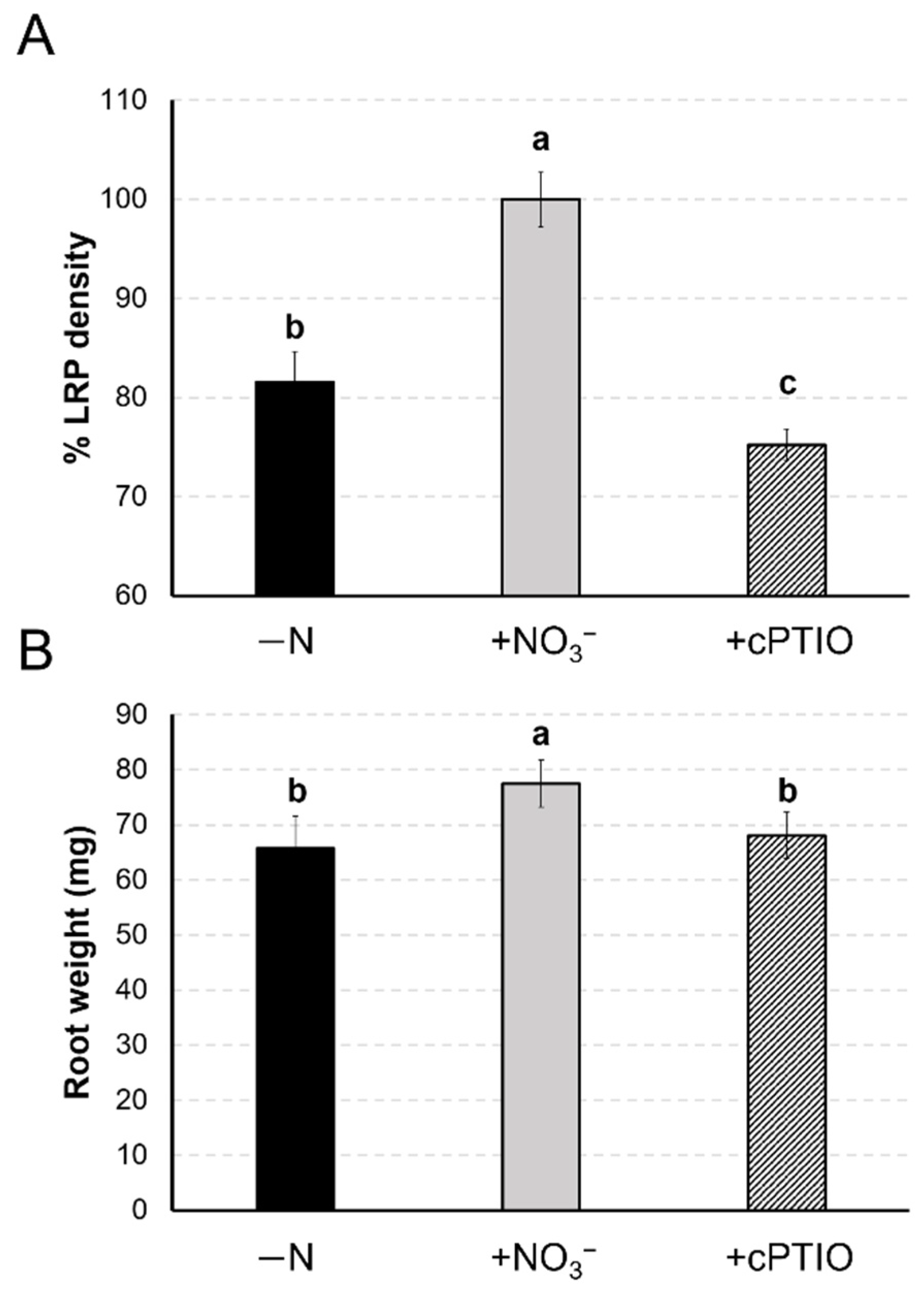 Ijms 22 09527 g007 550