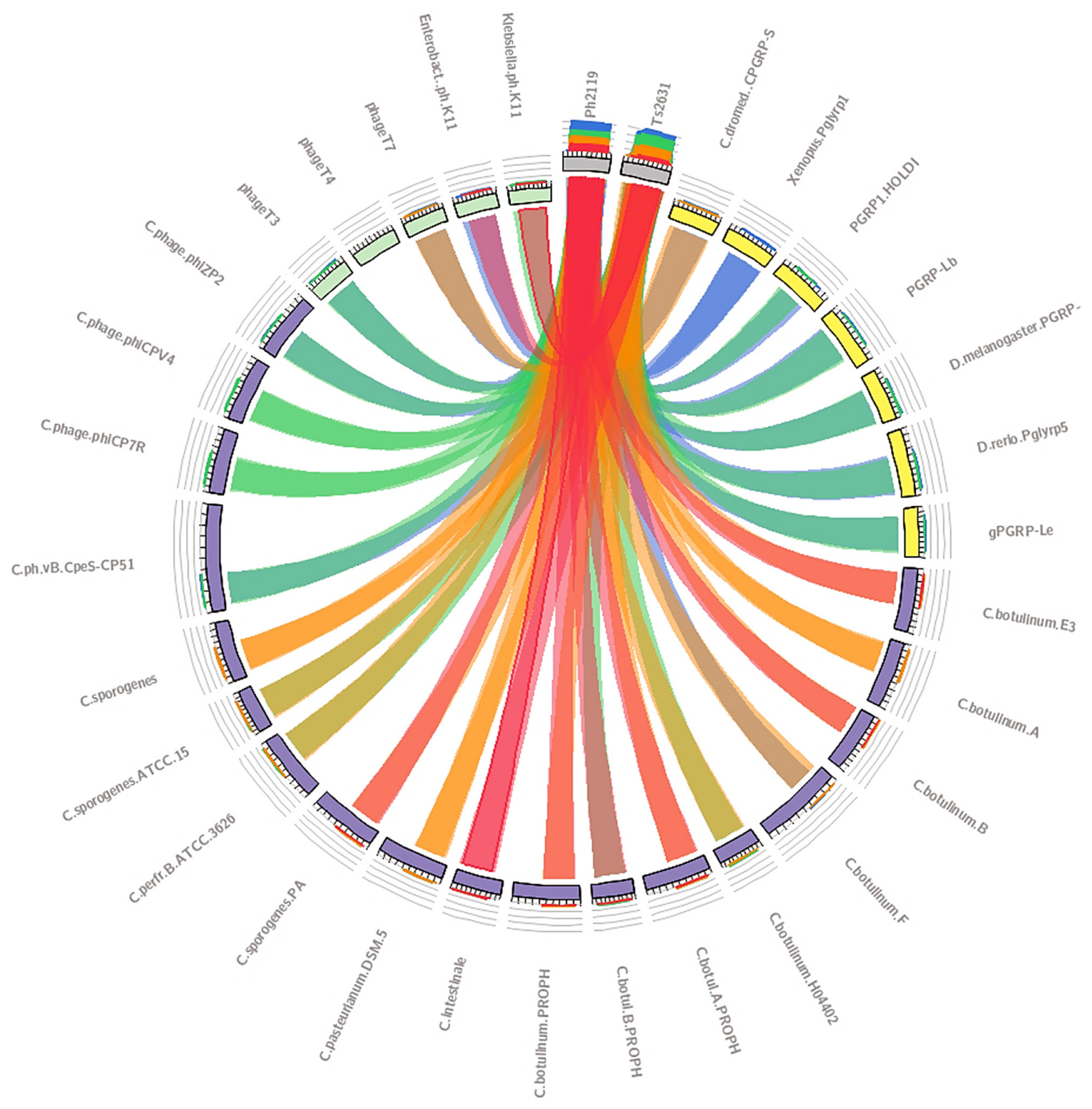 Ijms 22 09536 g001 550