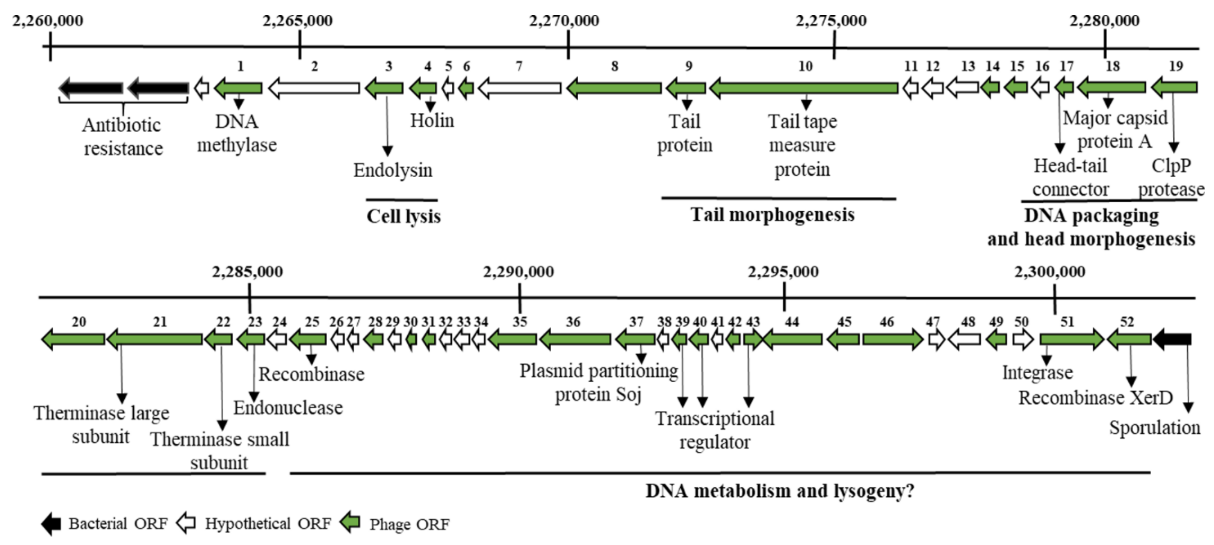 Ijms 22 09536 g002 550