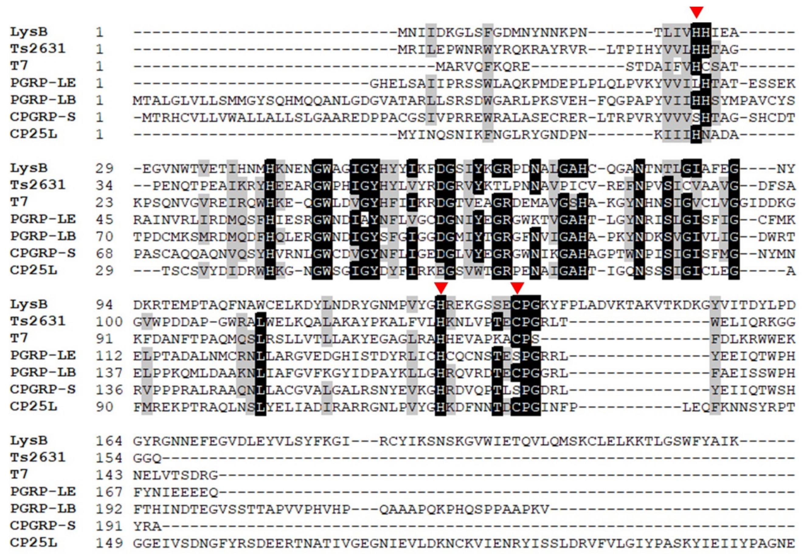 Ijms 22 09536 g003 550