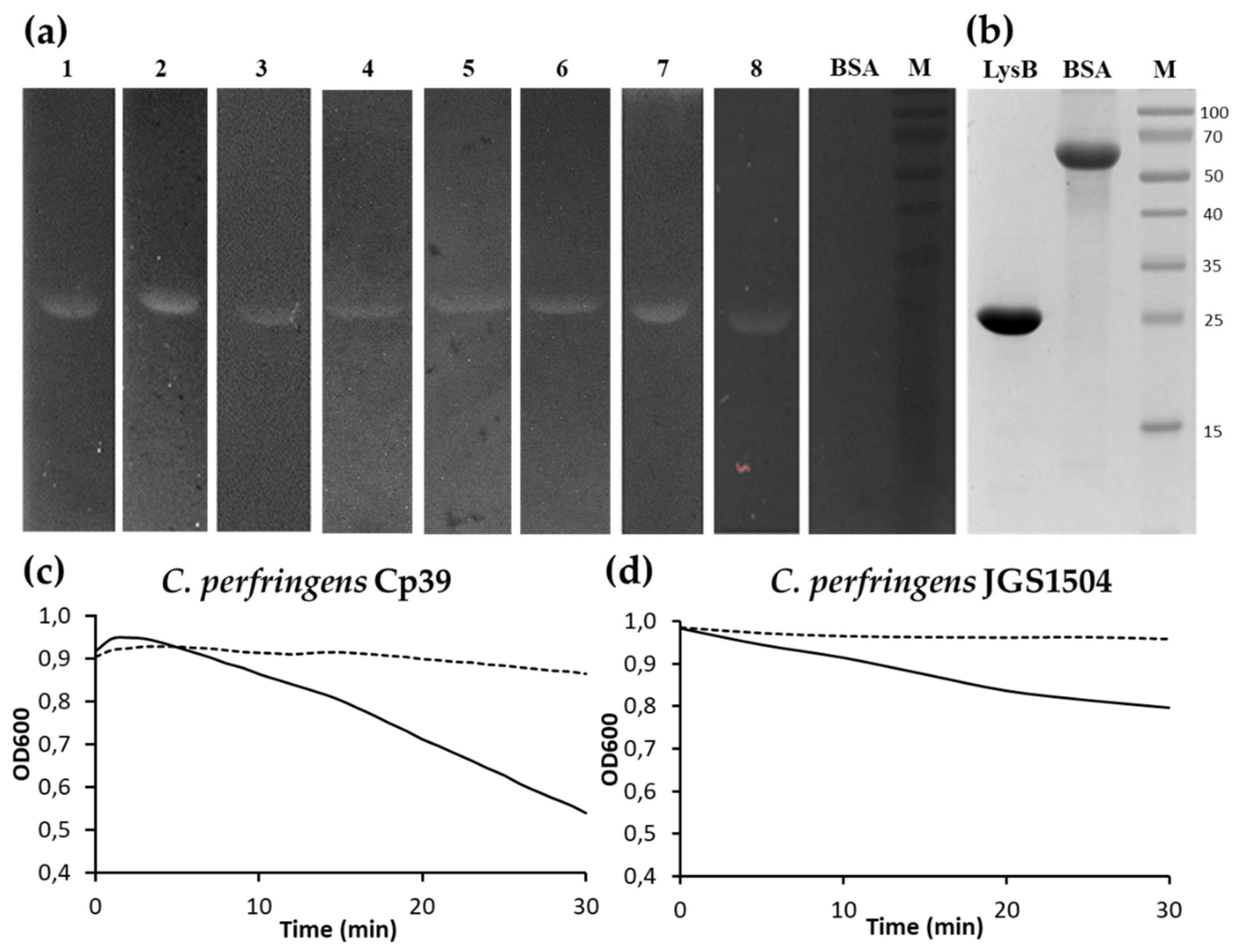 Ijms 22 09536 g005 550