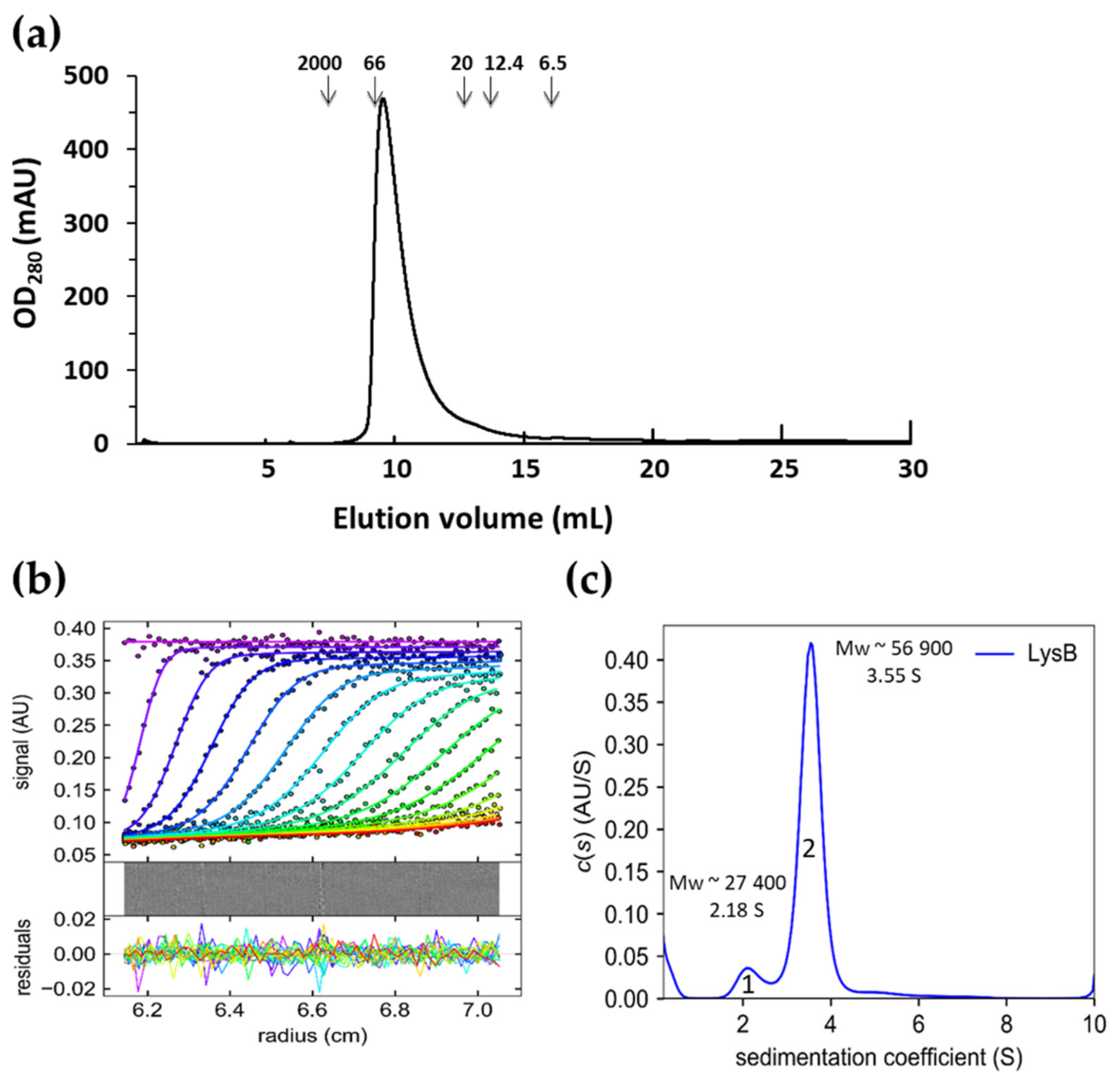 Ijms 22 09536 g008 550