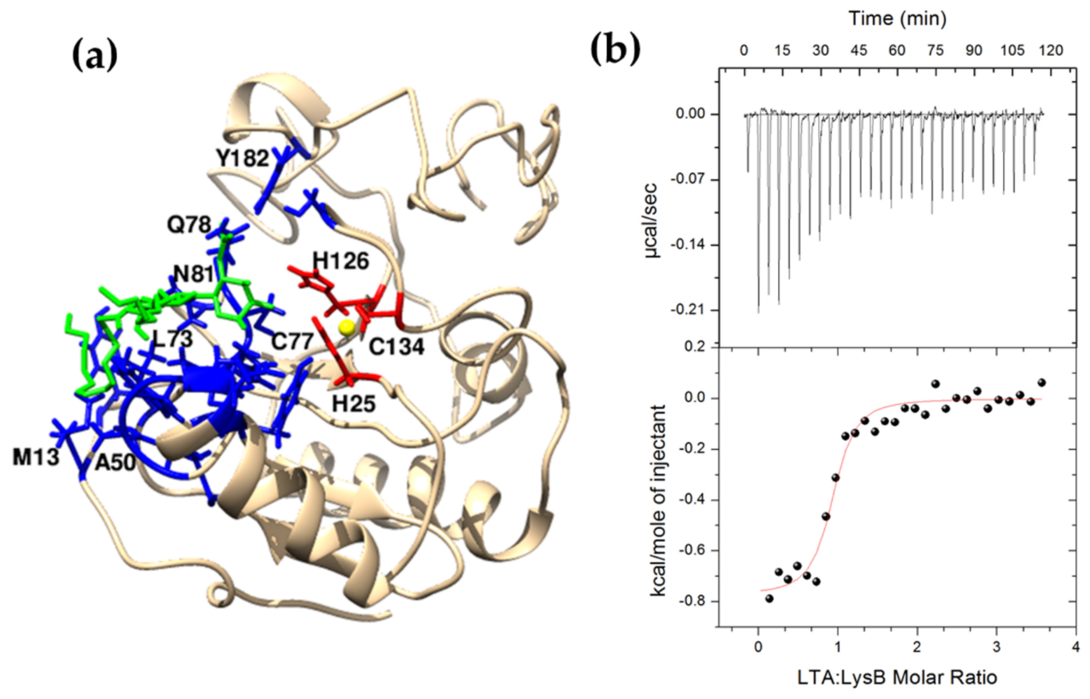 Ijms 22 09536 g009 550