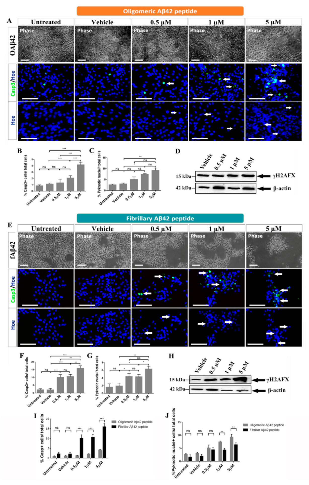 Ijms 22 09537 g002 Ijms 22 09537 g002