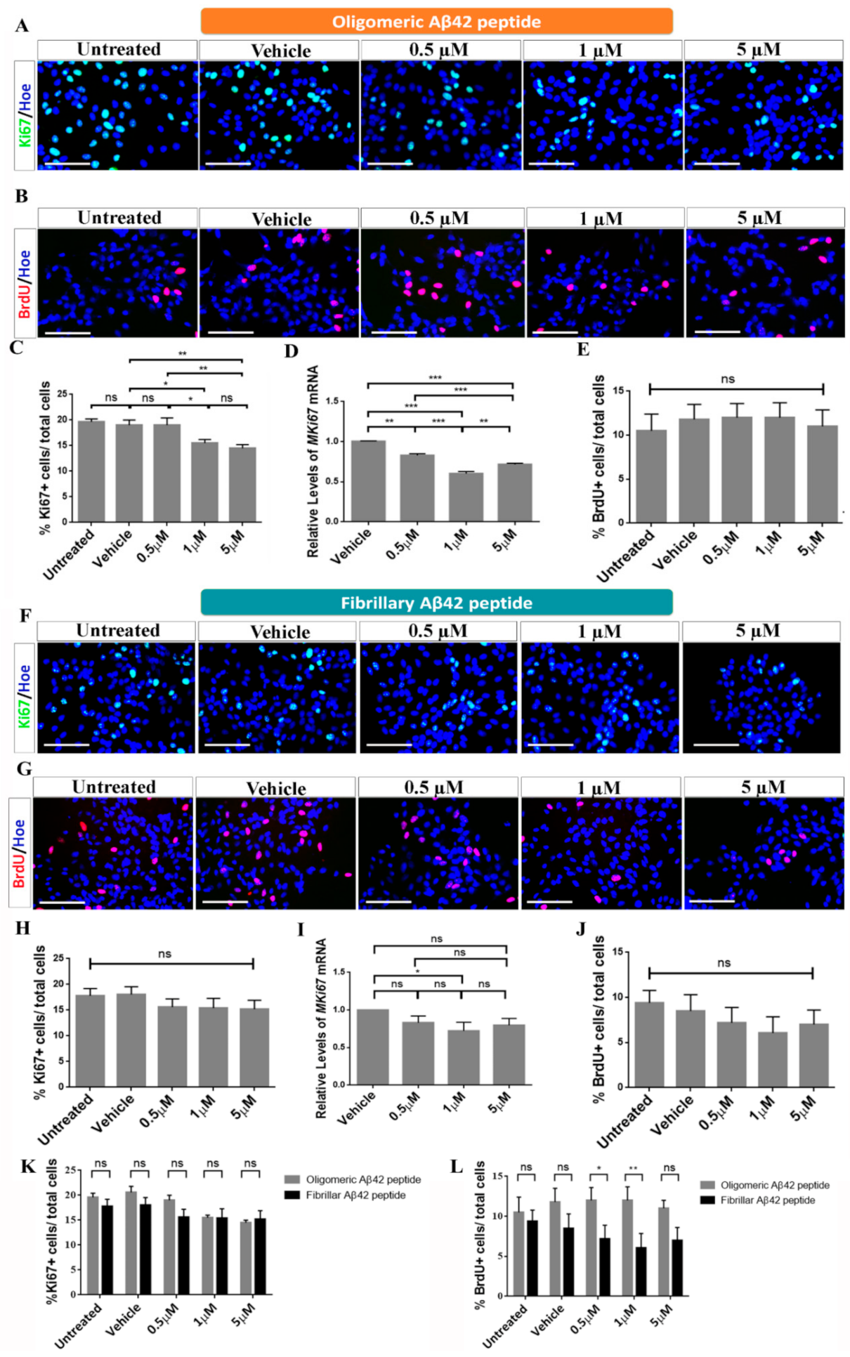 Ijms 22 09537 g003 Ijms 22 09537 g003