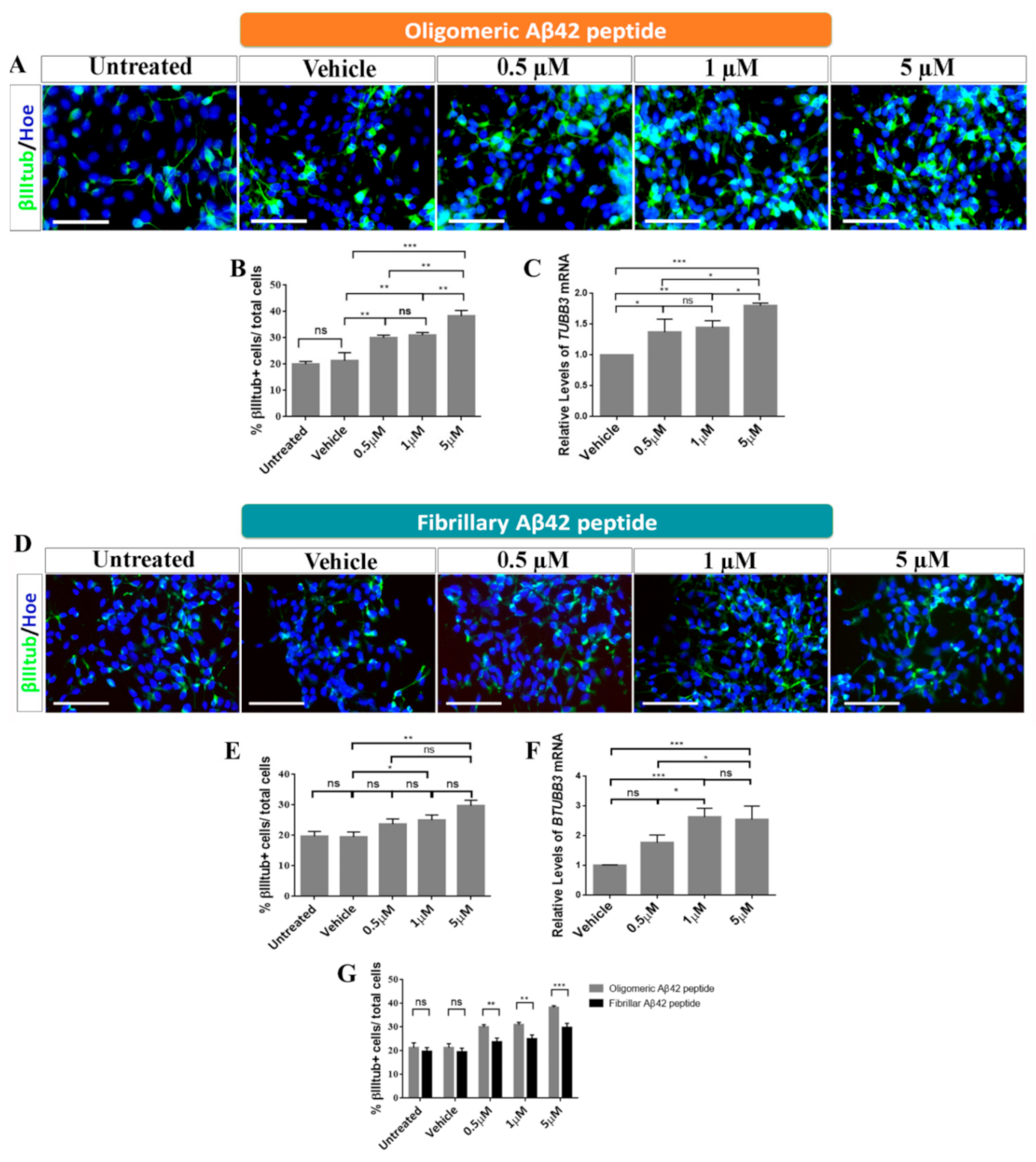 Ijms 22 09537 g004 Ijms 22 09537 g004