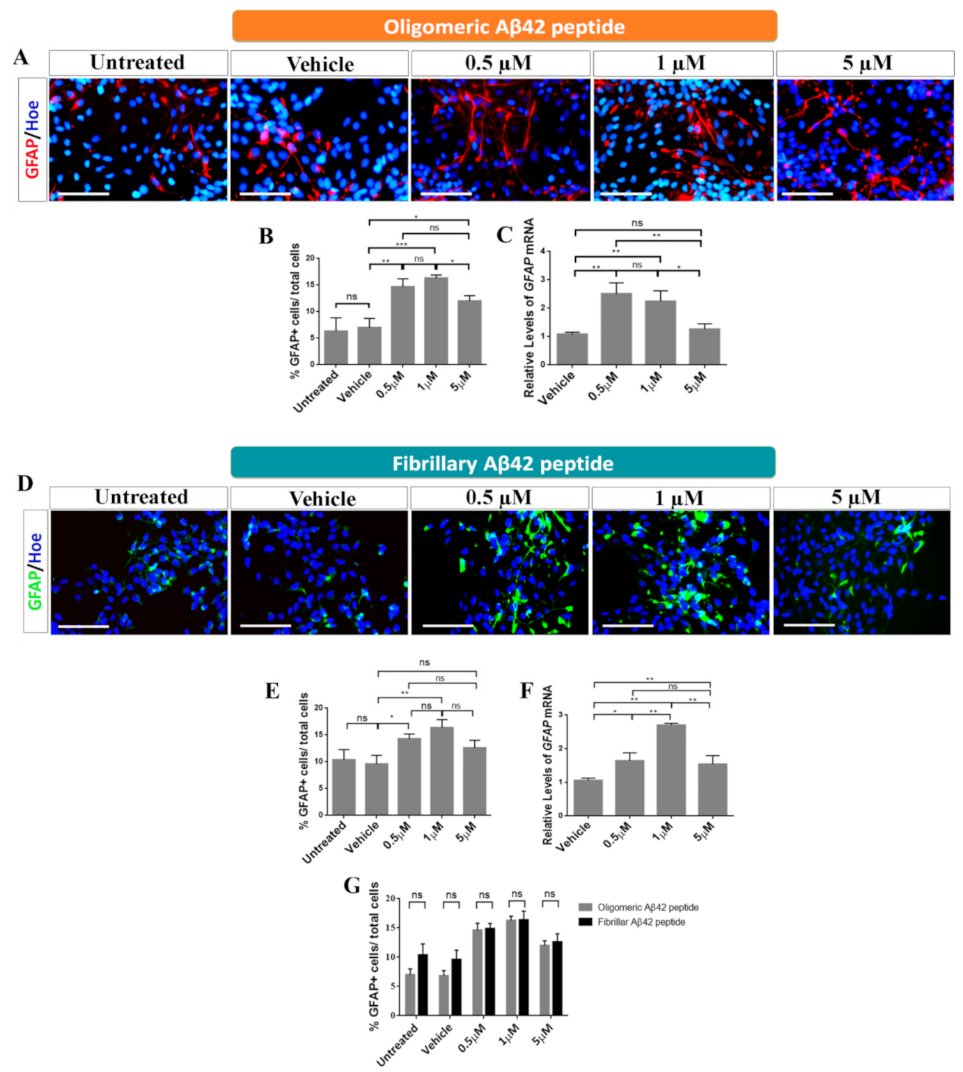 Ijms 22 09537 g005 Ijms 22 09537 g005