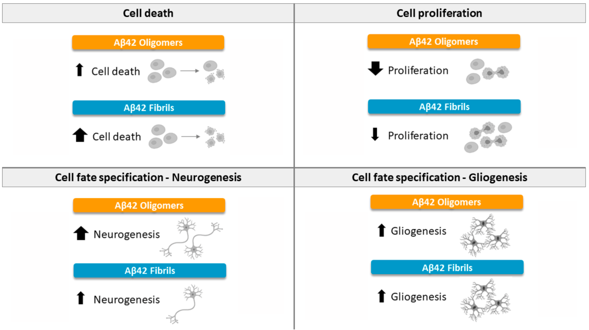 Ijms 22 09537 g006 Ijms 22 09537 g006