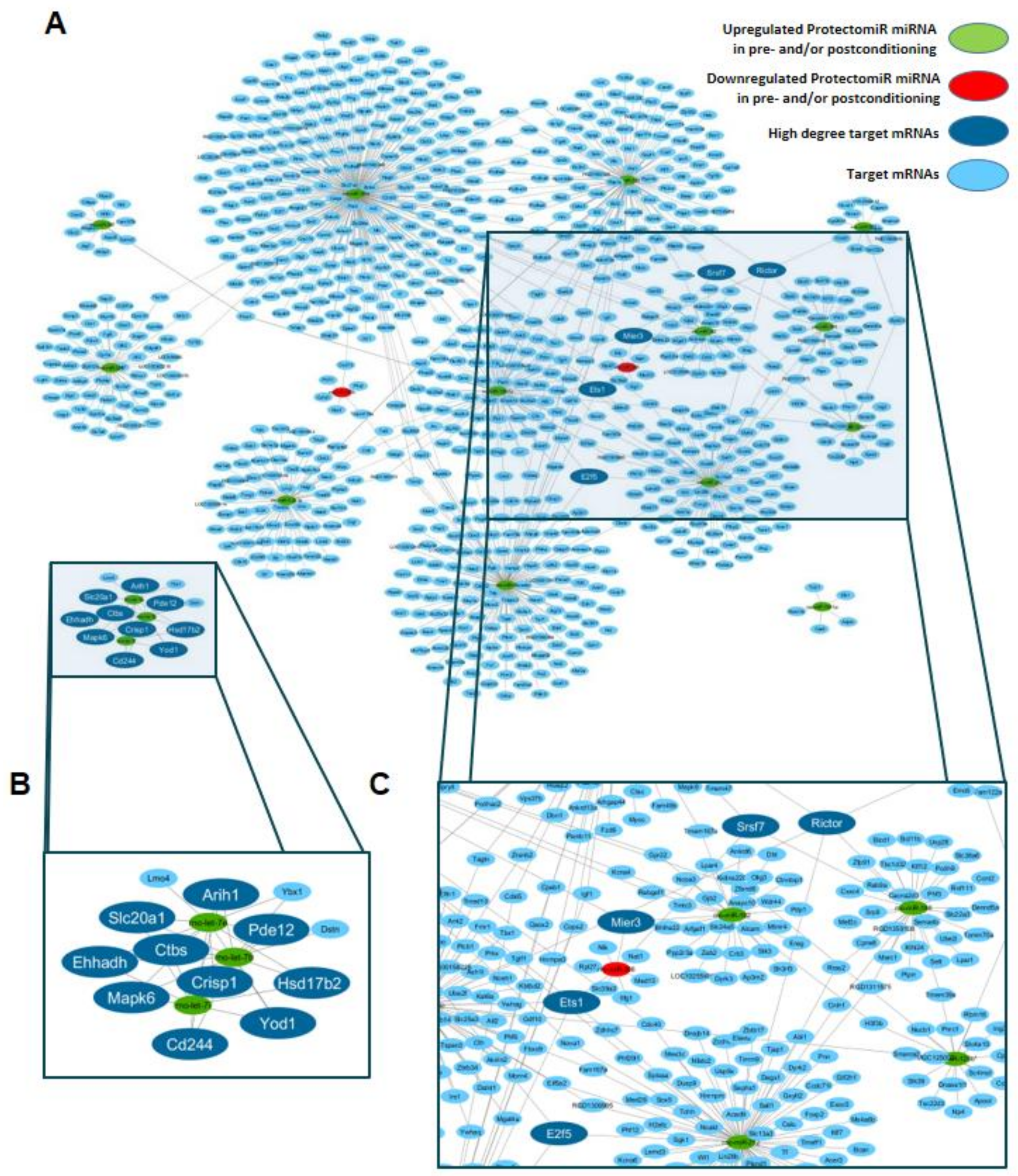 Ijms 22 09539 g002 550