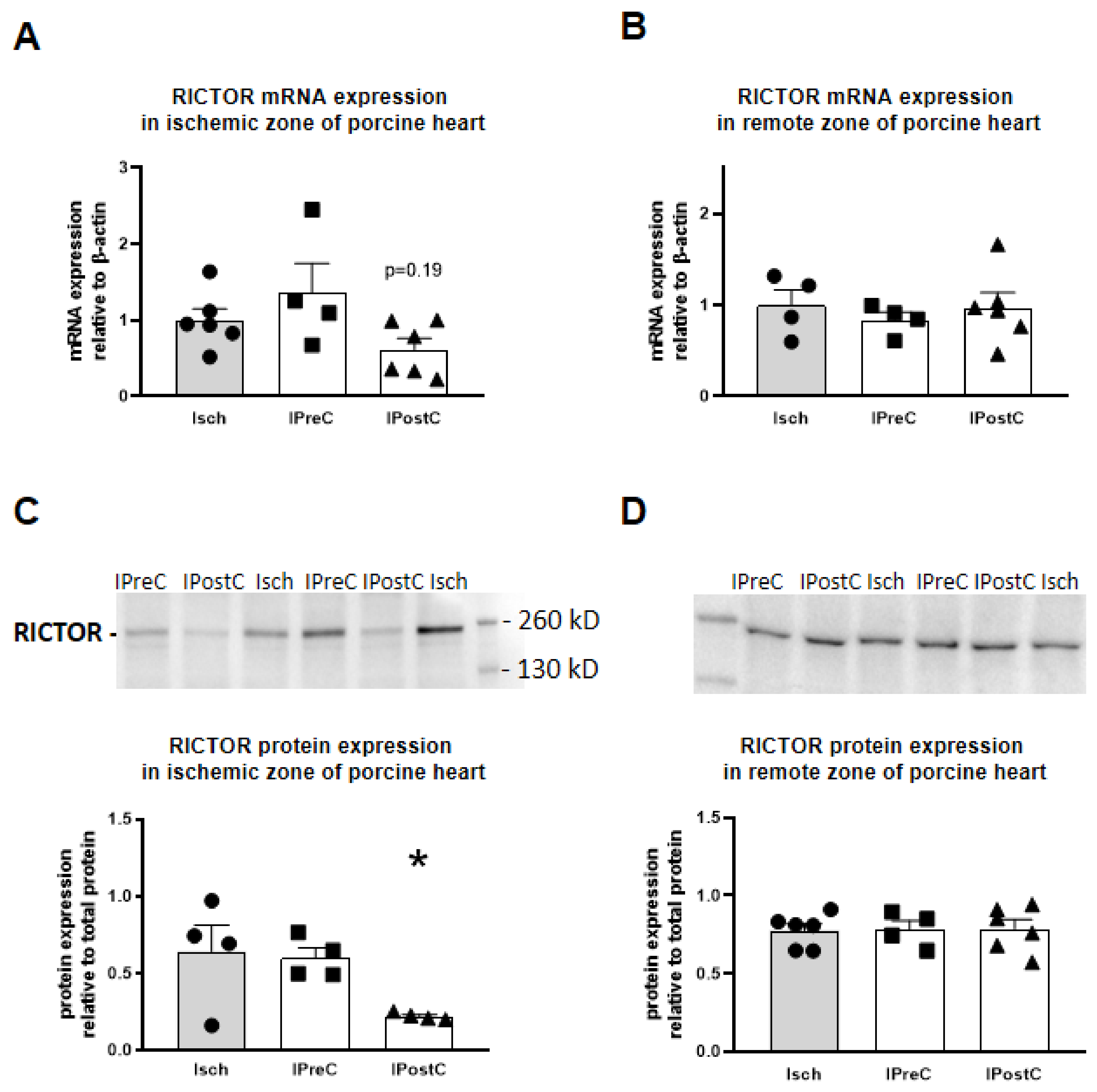 Ijms 22 09539 g004 550