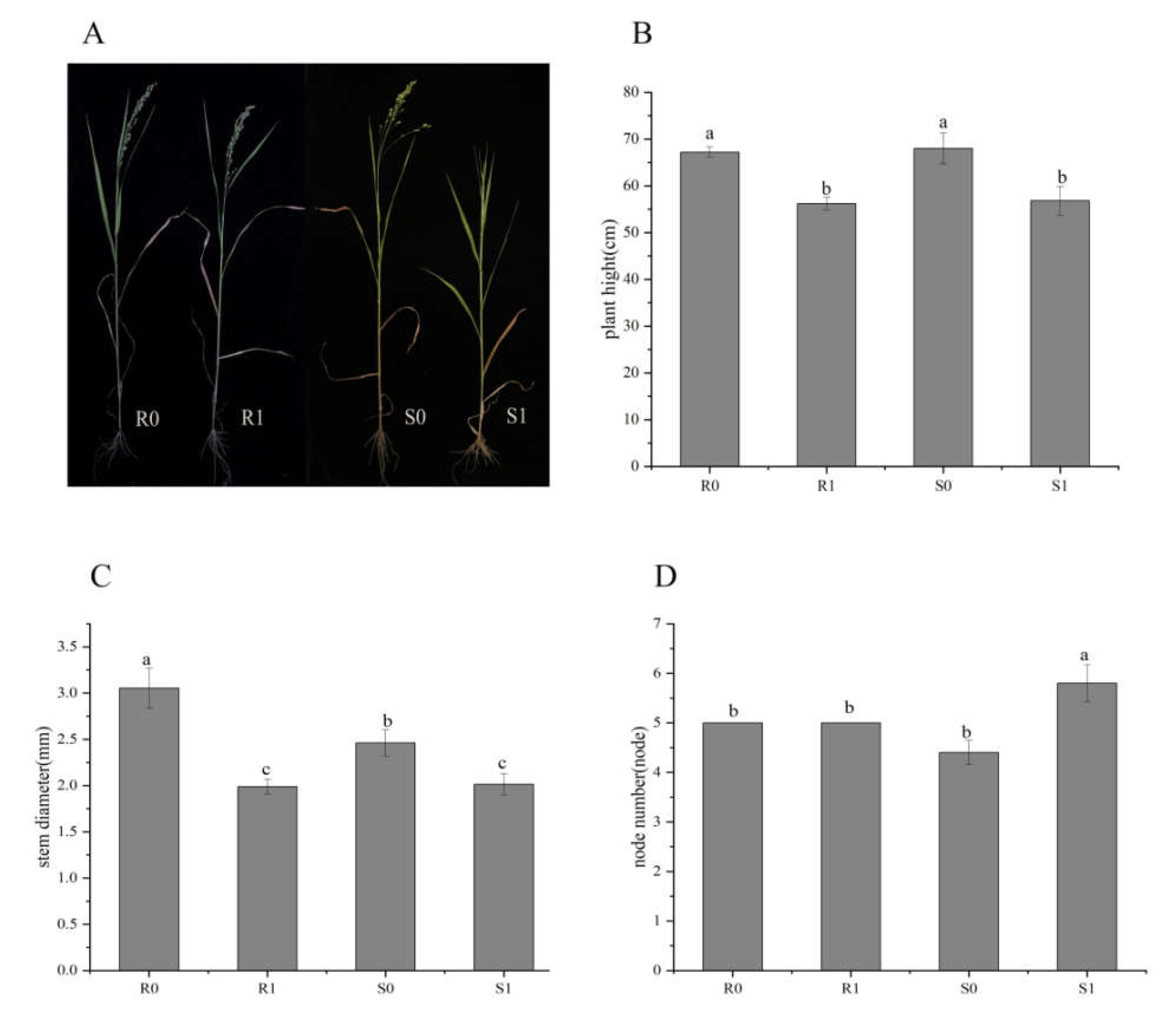 Ijms 22 09542 g001 550