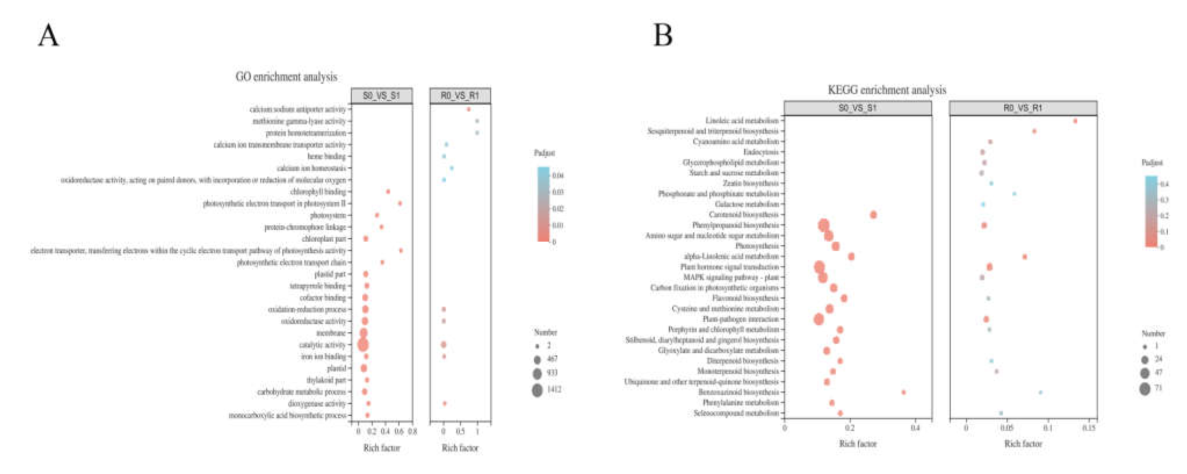 Ijms 22 09542 g004 550