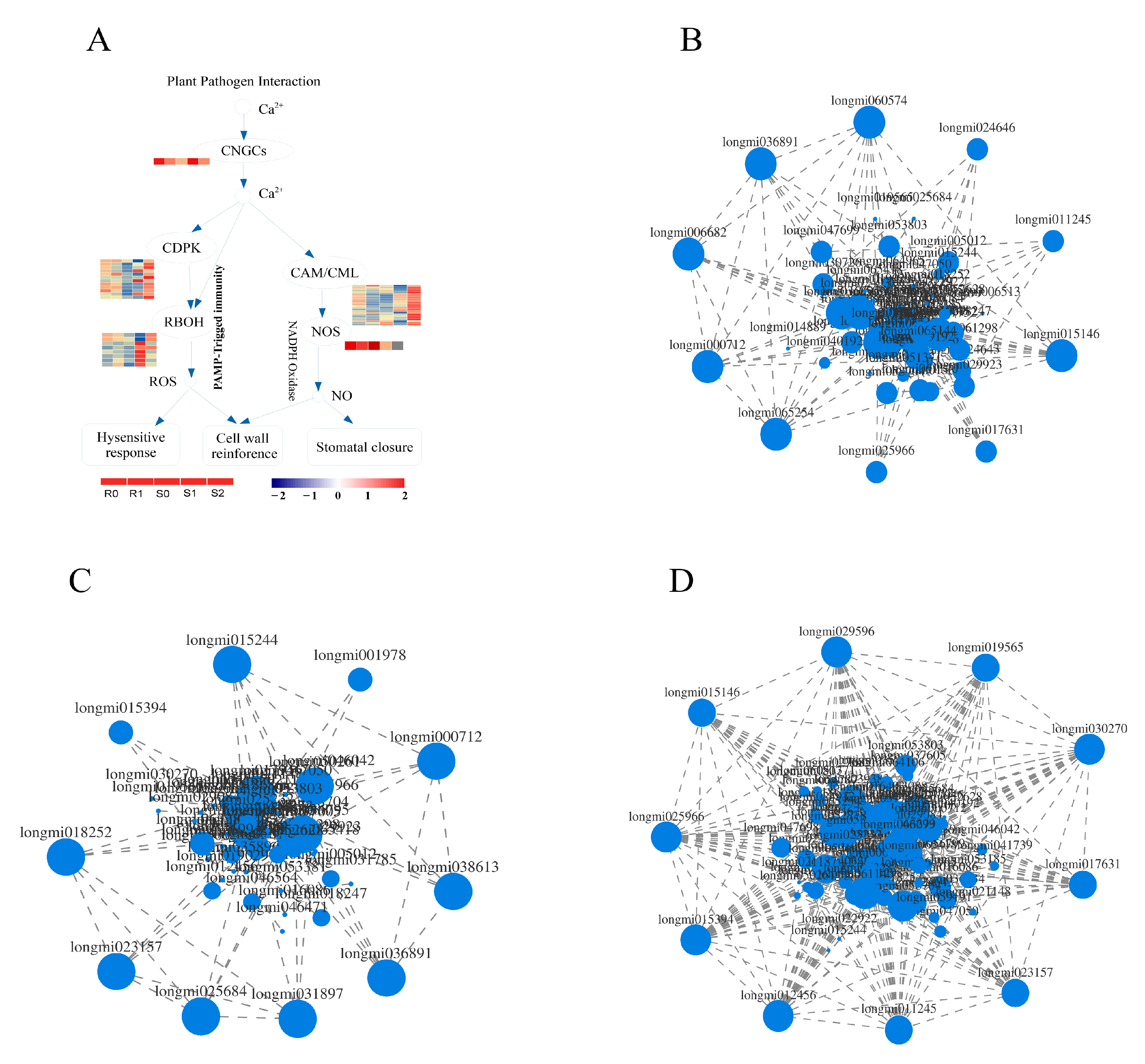 Ijms 22 09542 g007 550