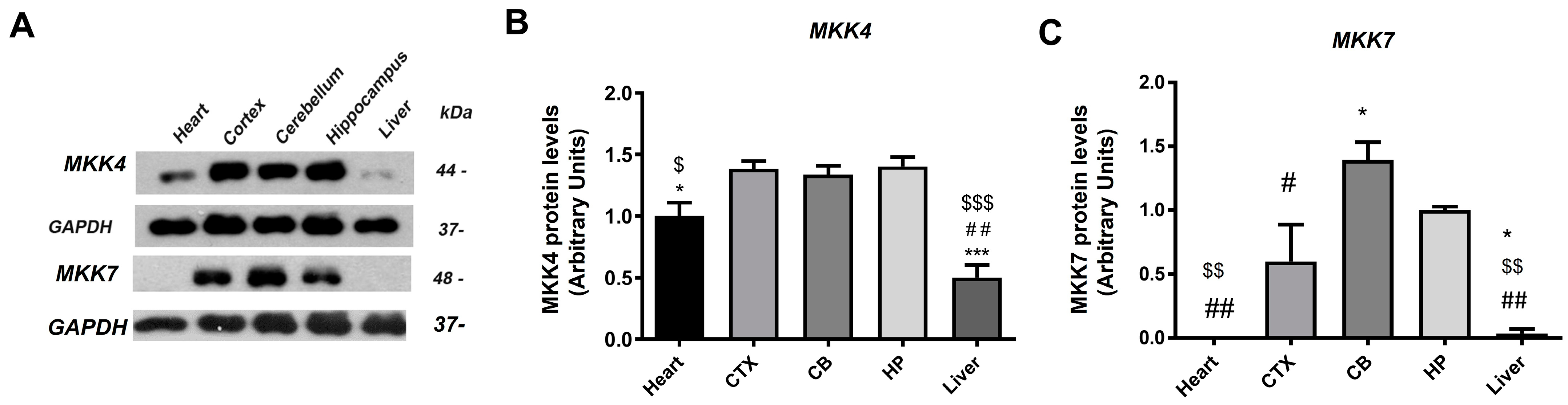 Ijms 22 09545 g001 550