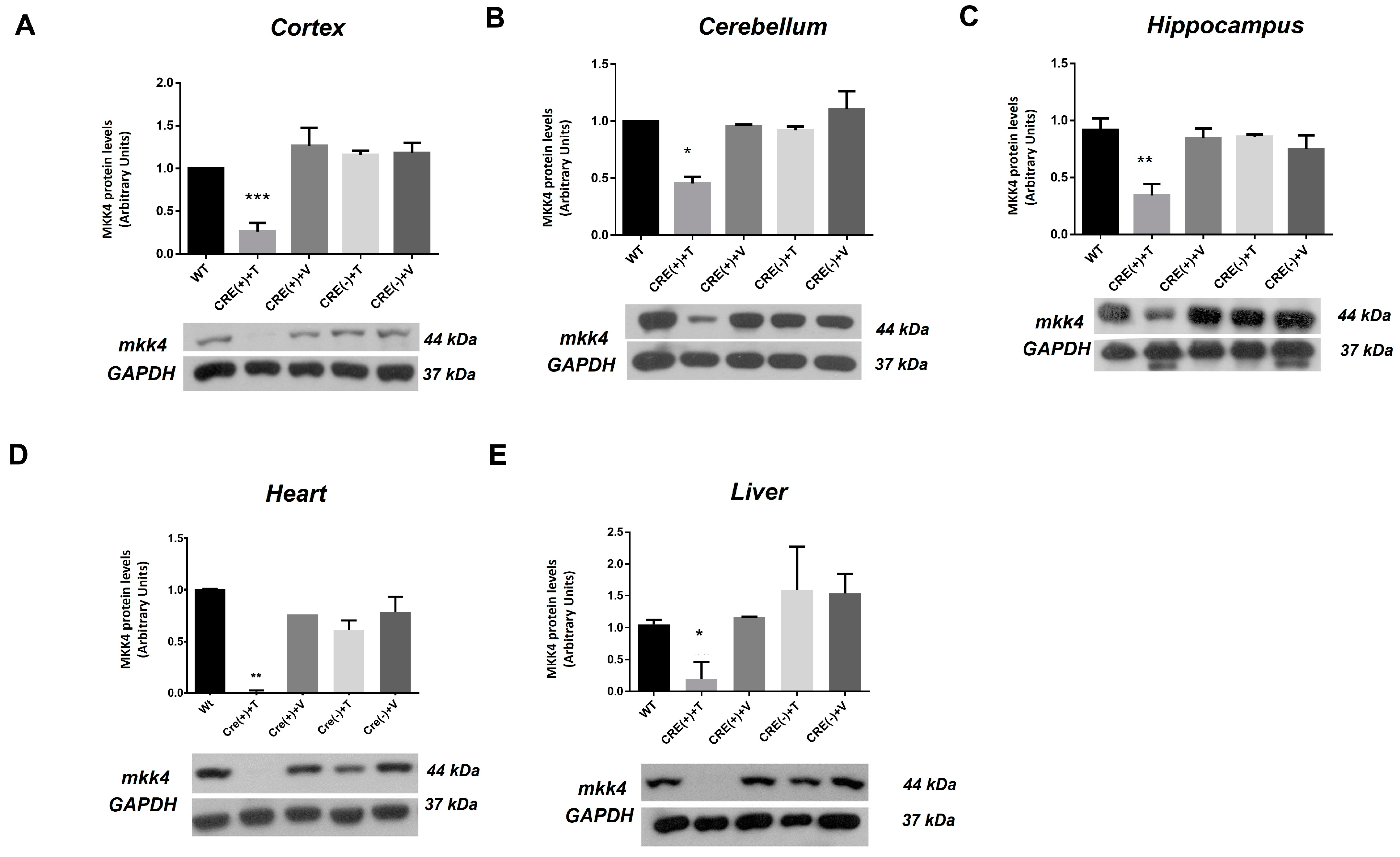 Ijms 22 09545 g003 550